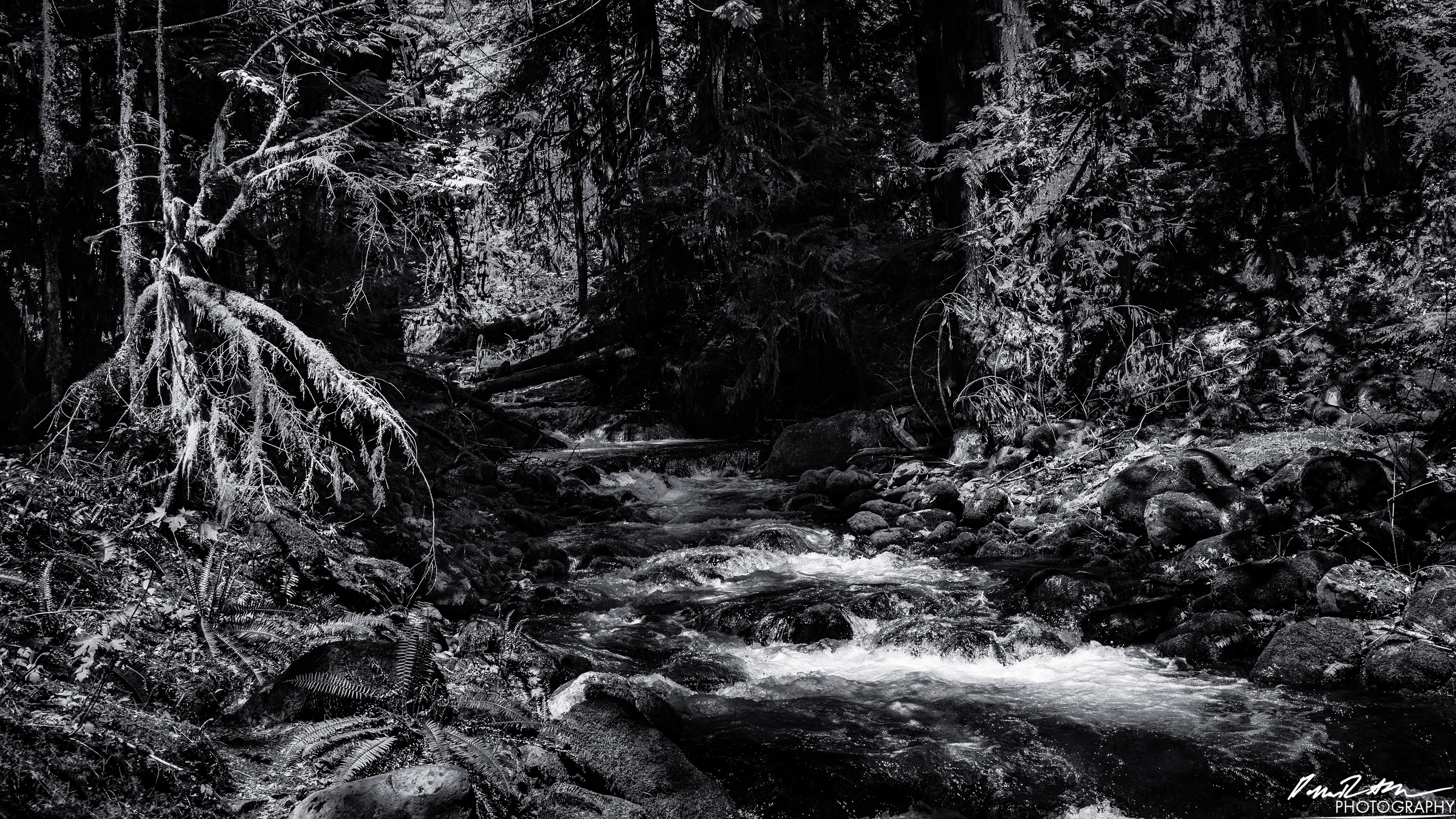 Rapids - Lake Cushman