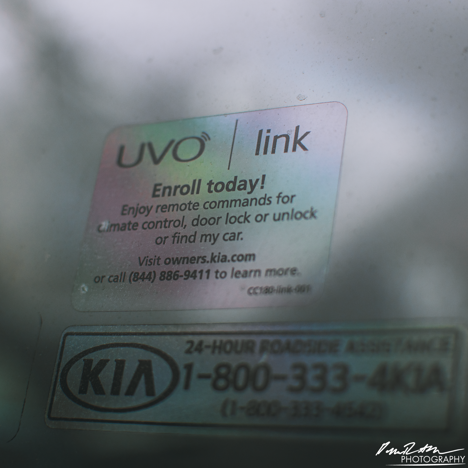 All the Colors, Enumclaw WA