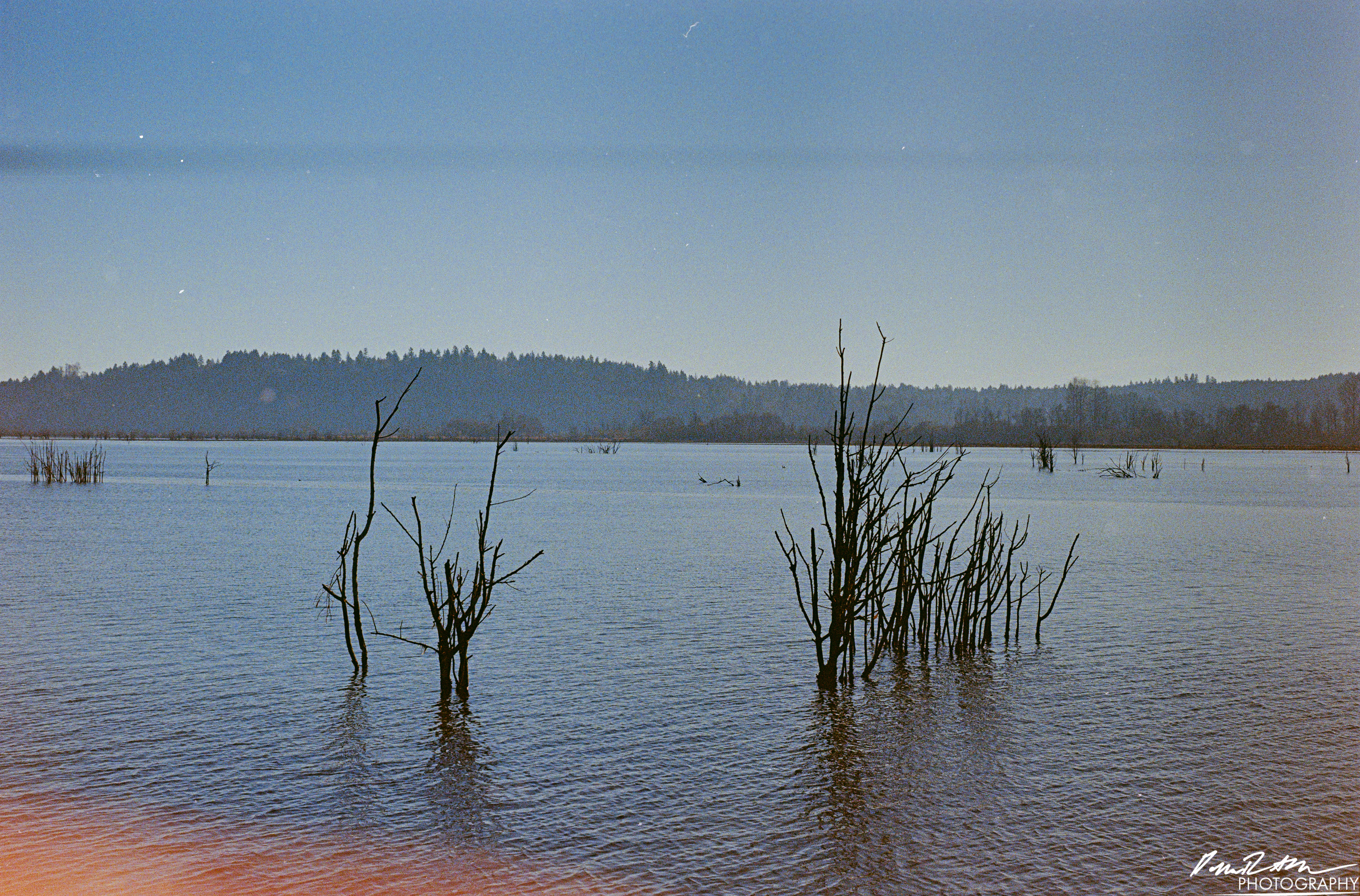 Fujifilm 400 - Nisqually Wildlife Preserve WA