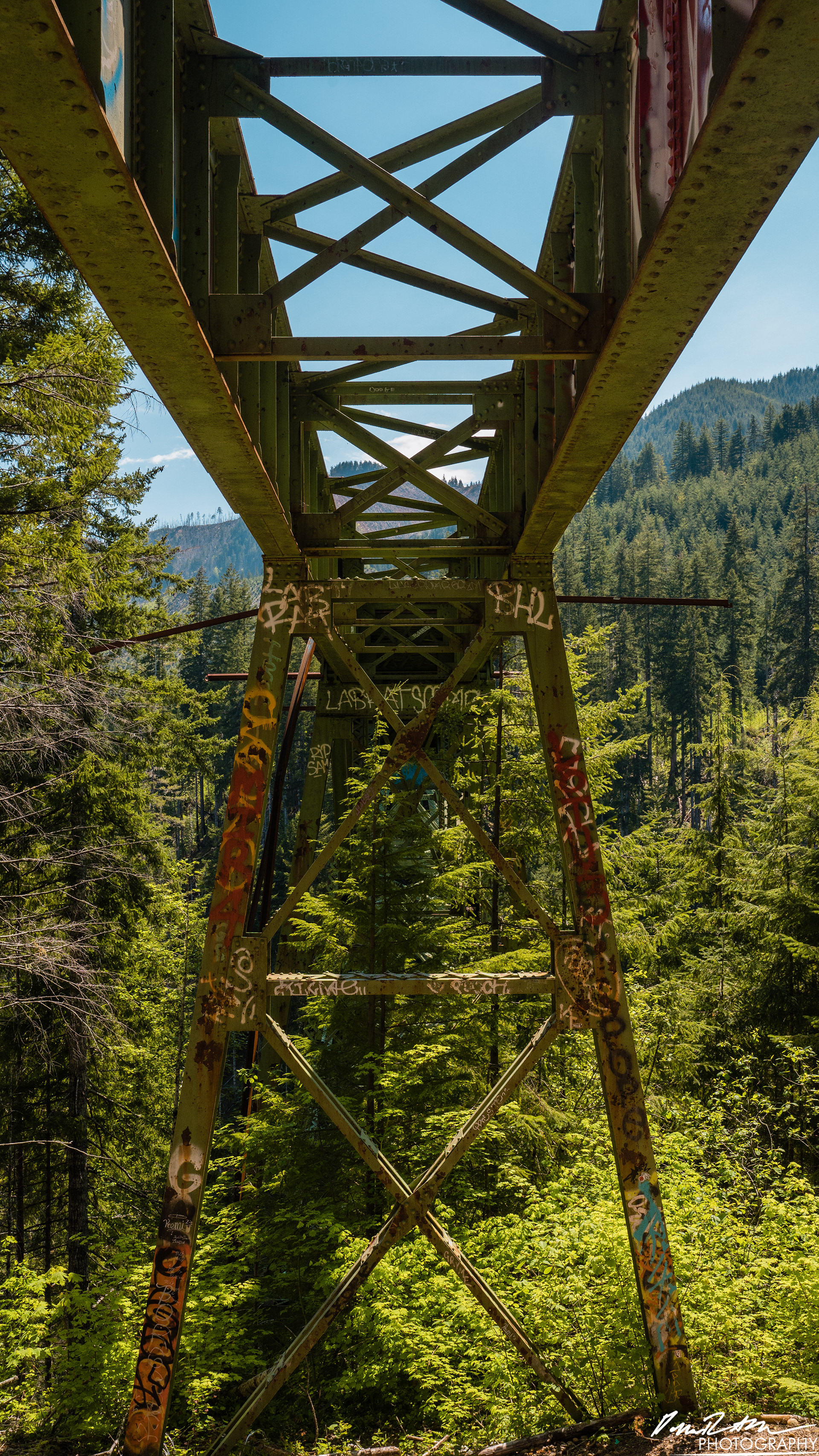 CAUTION - Olympic National Forest