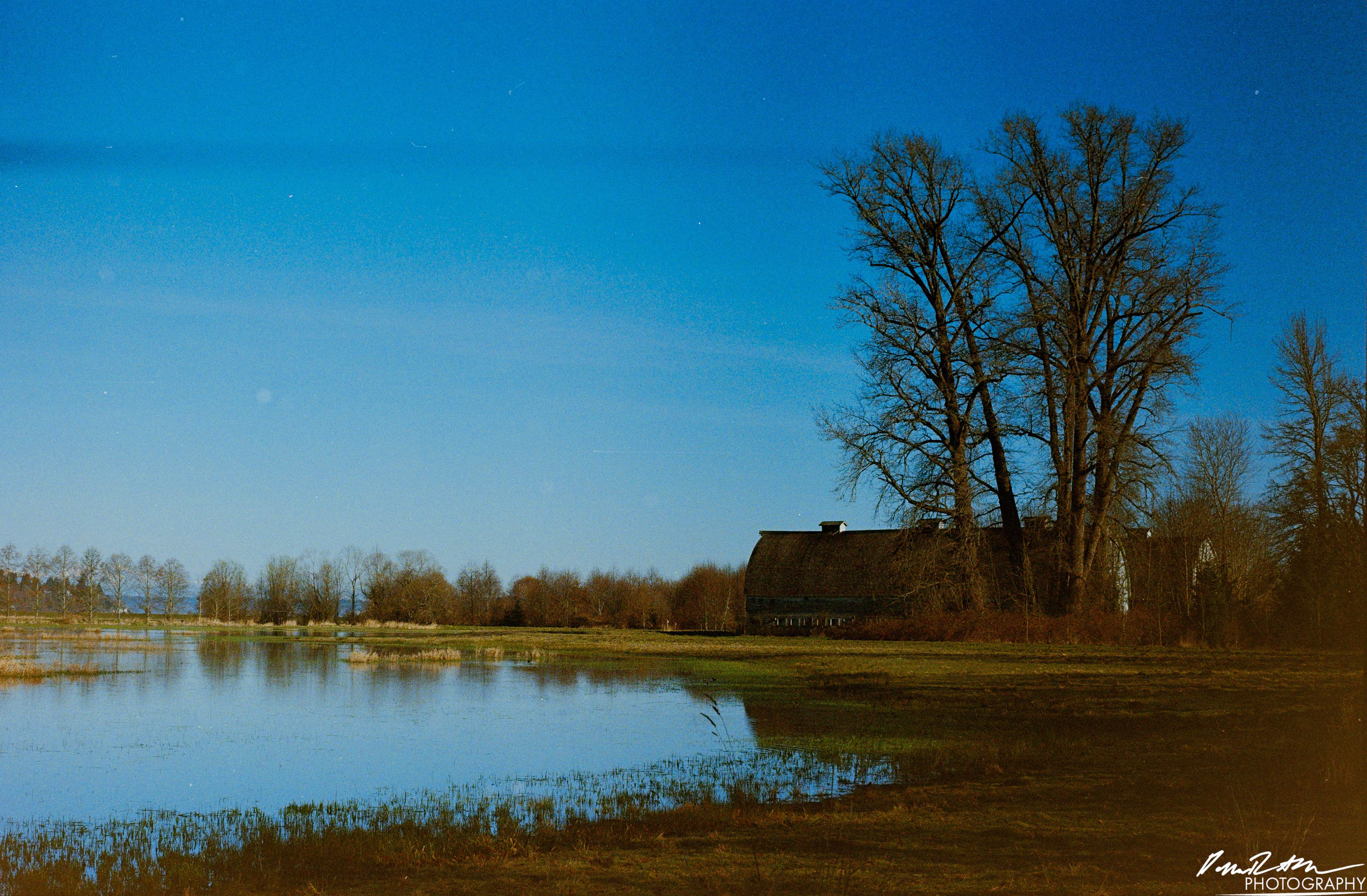 Fujifilm 400 - Nisqually Wildlife Preserve WA