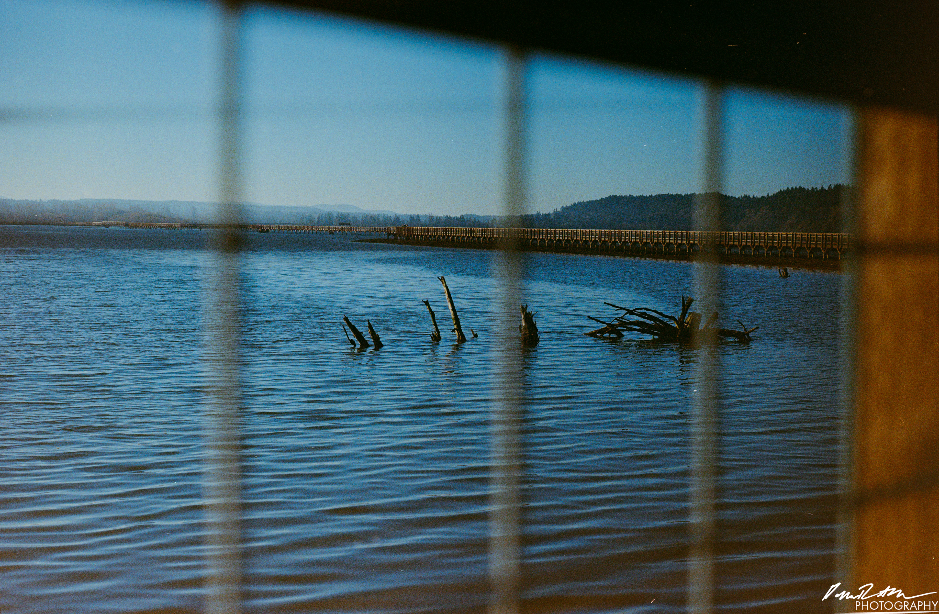 Fujifilm 400 - Nisqually Wildlife Preserve WA