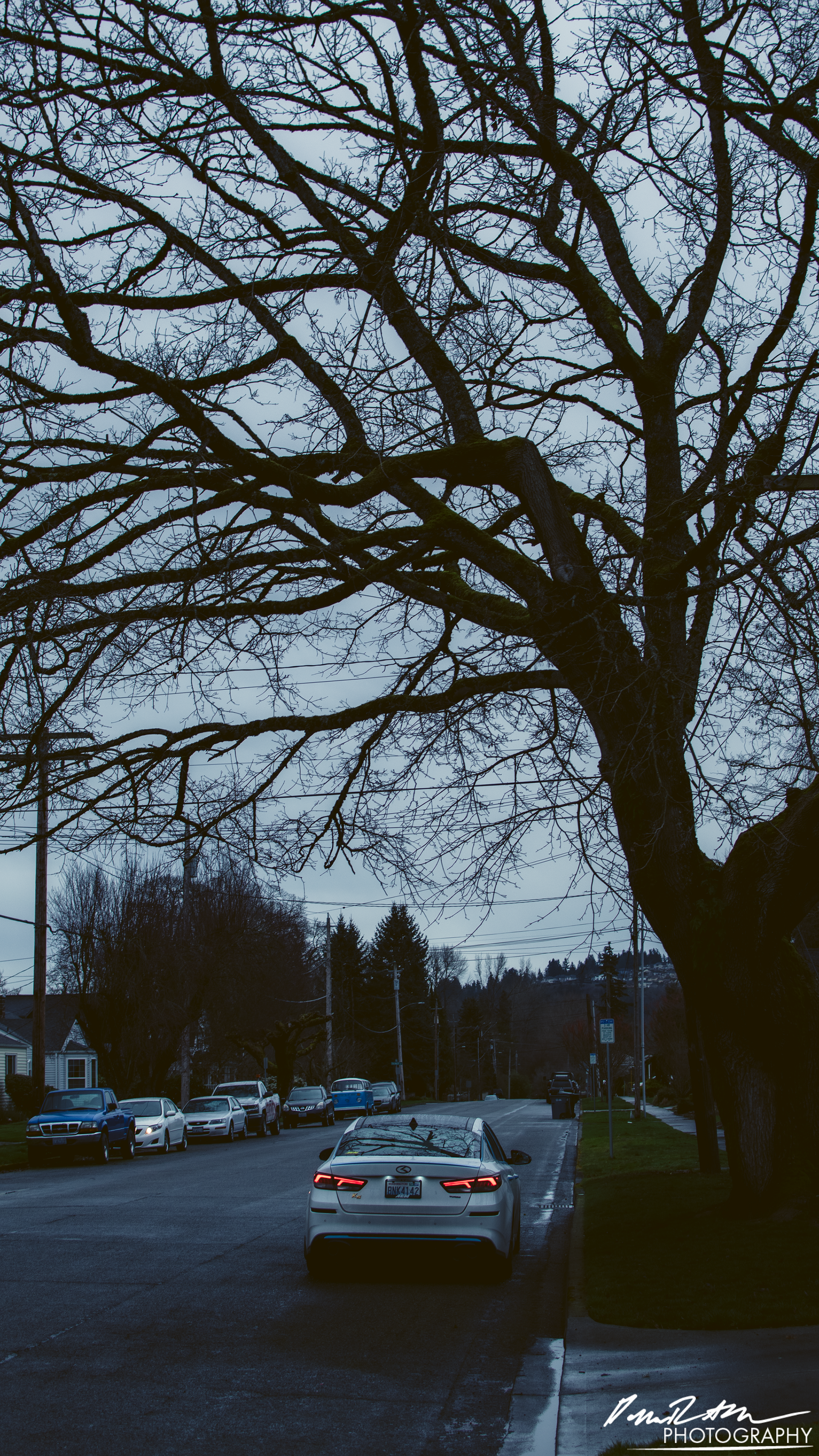 Pestilence, Sumner WA