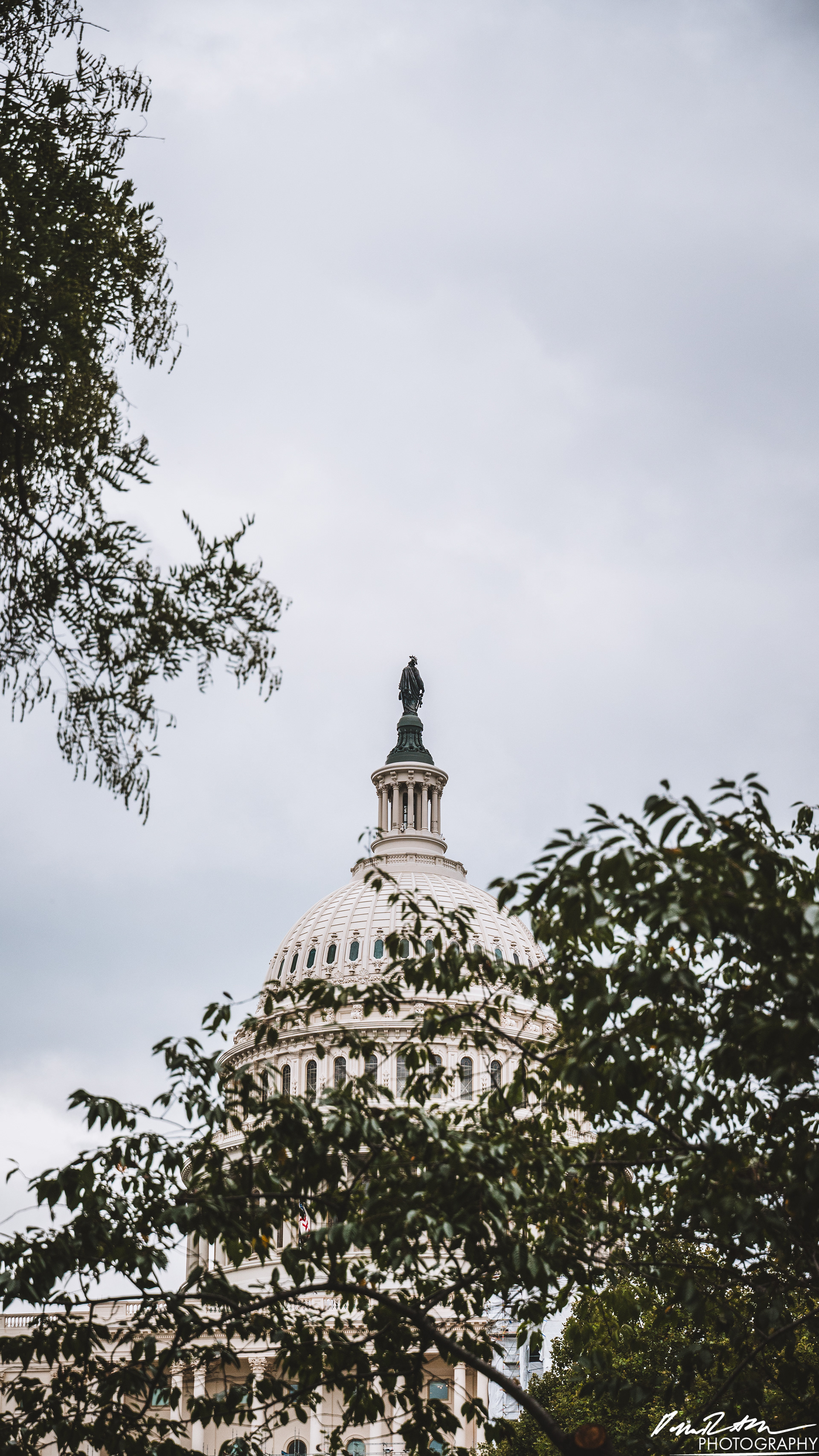Dome - Washington DC