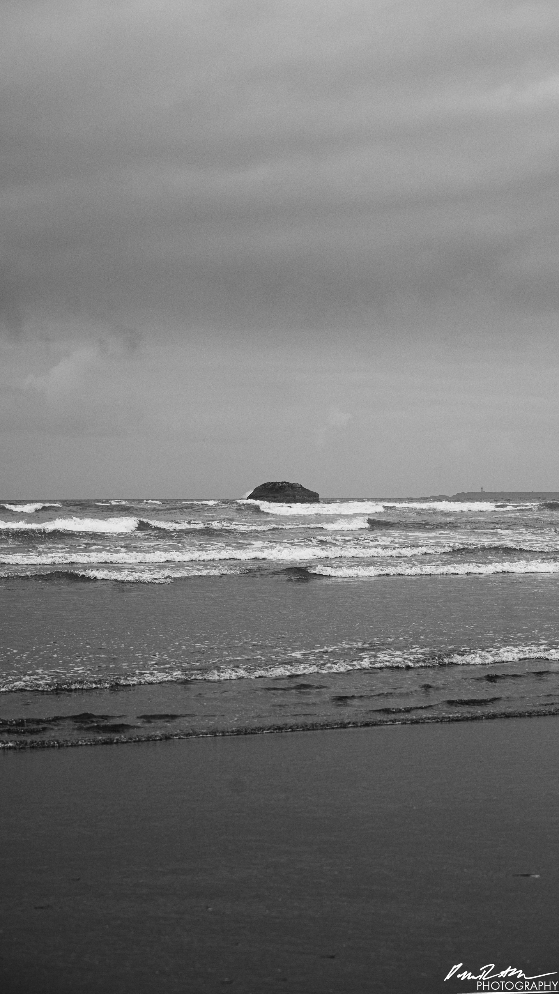 The Beach of Life - Kalaloch 
