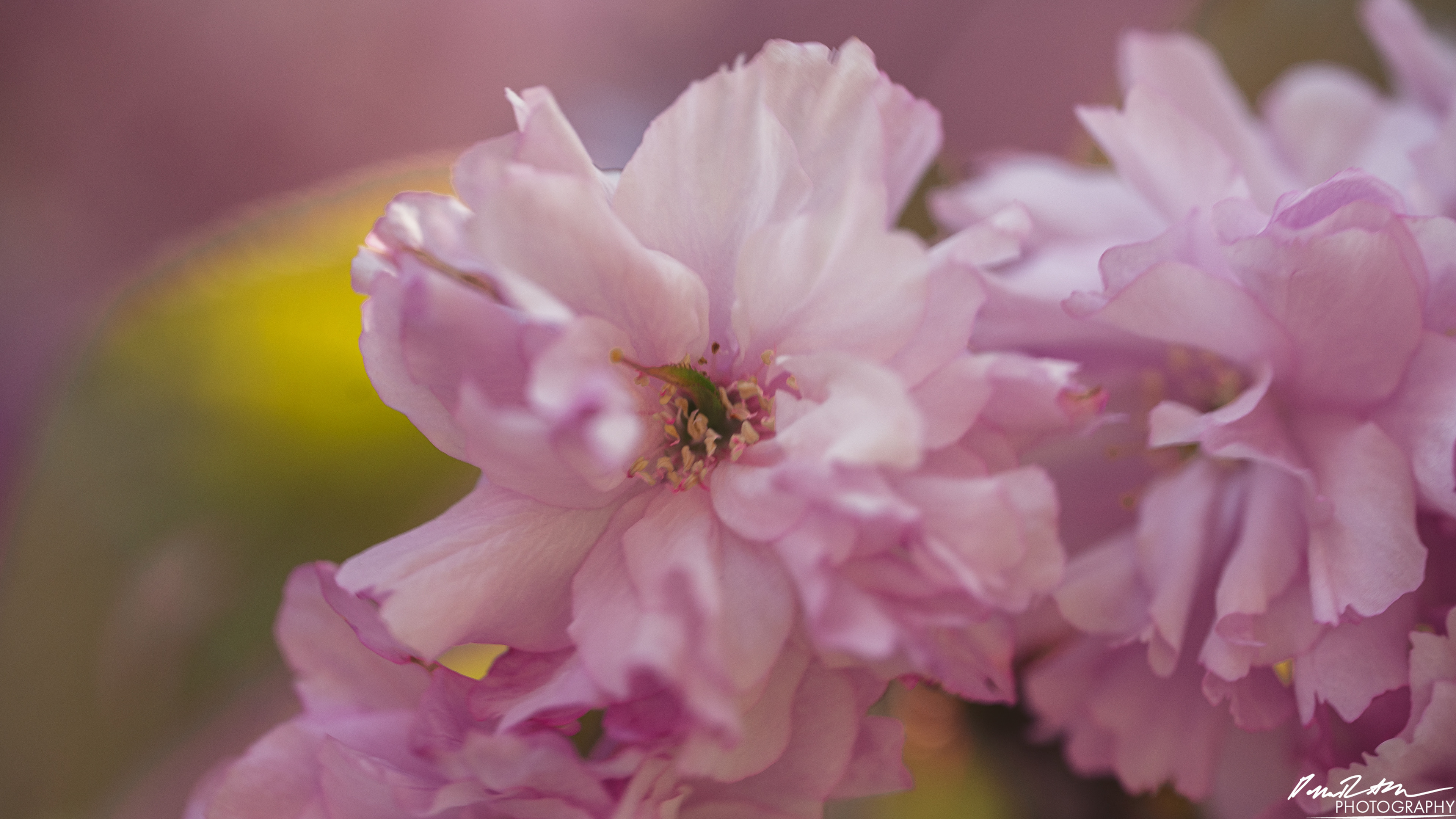 Big World - Enumclaw WA