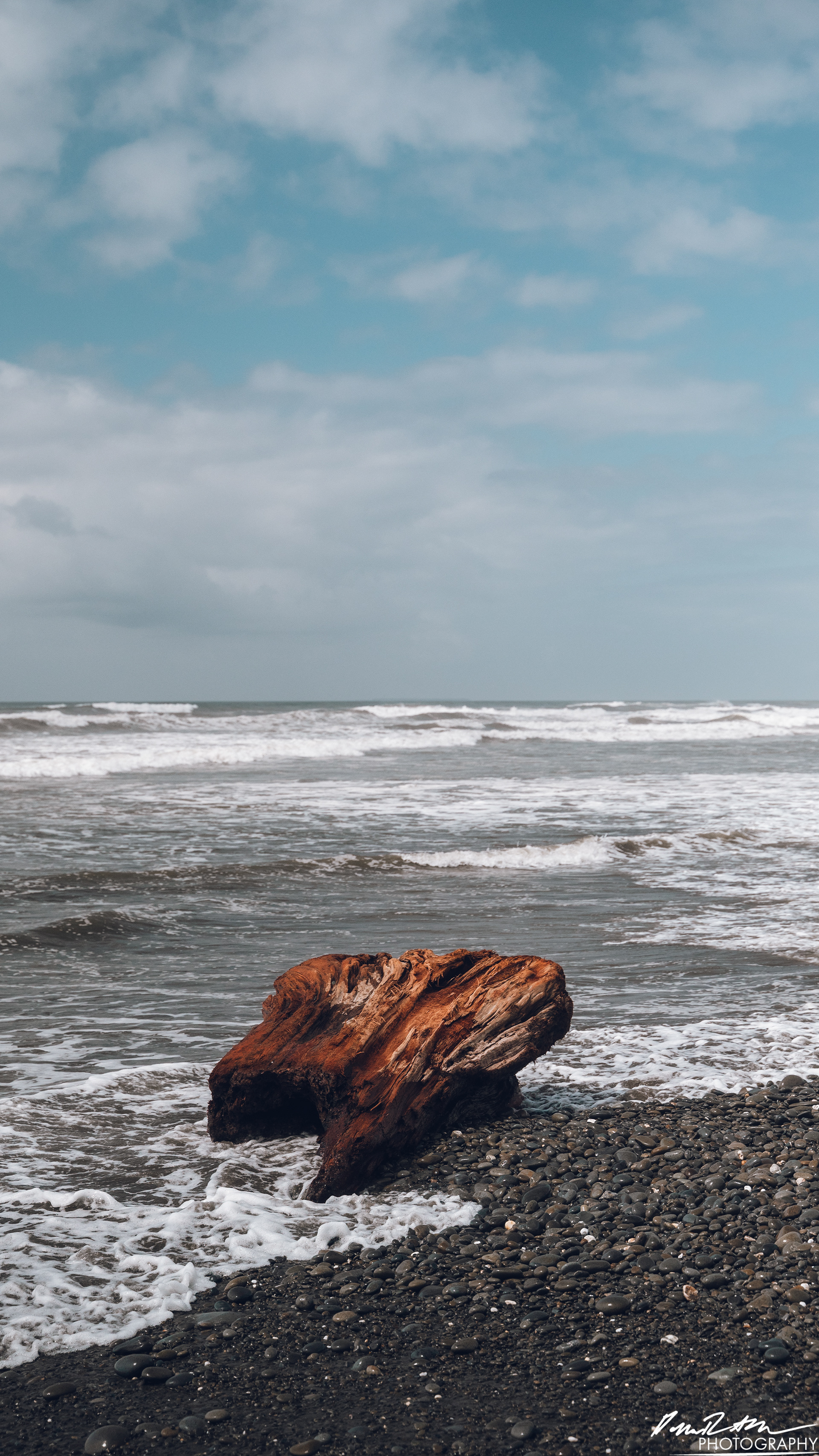 The Beach of Life - Kalaloch 