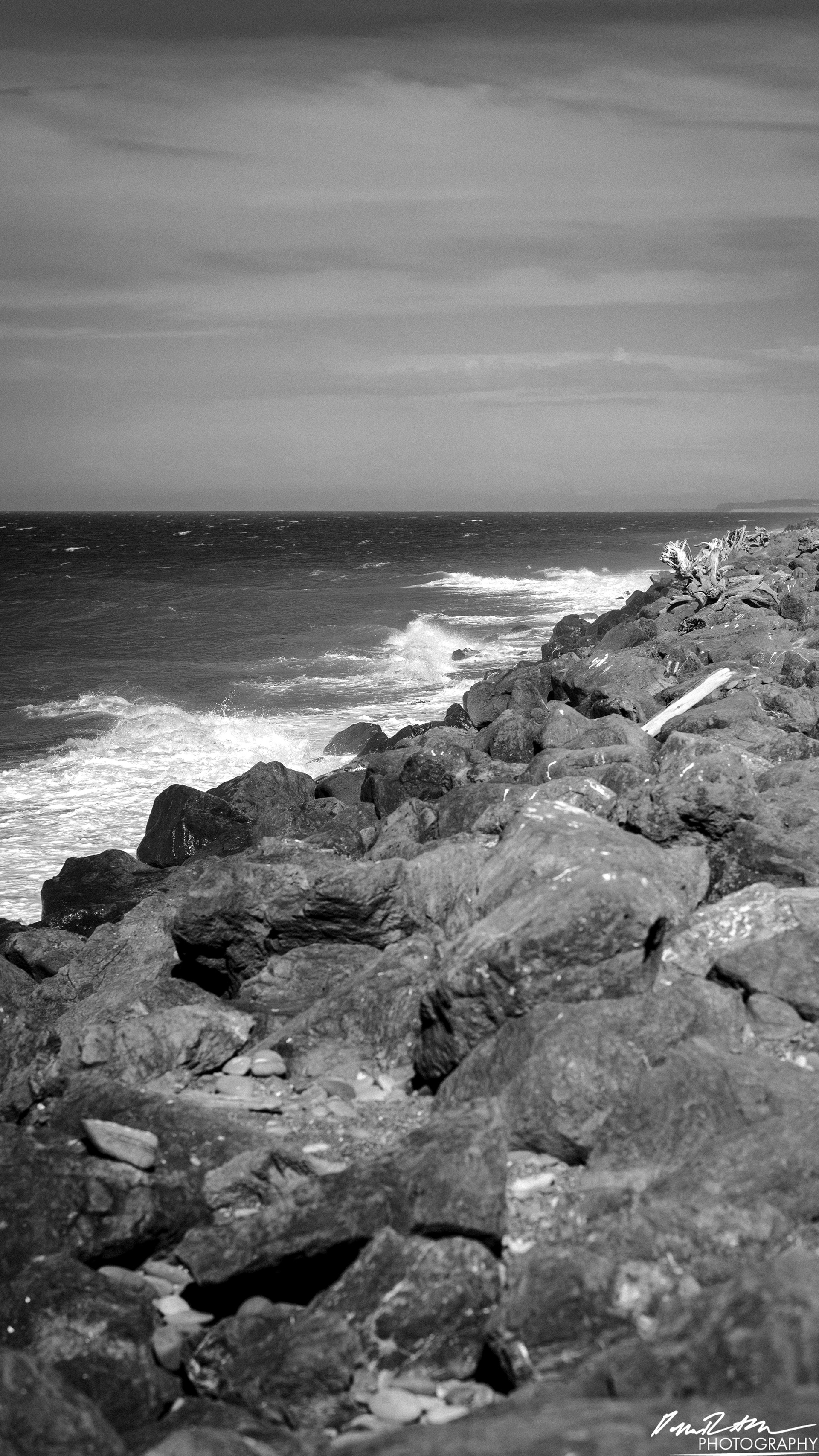 The Open Sea - Port Angeles