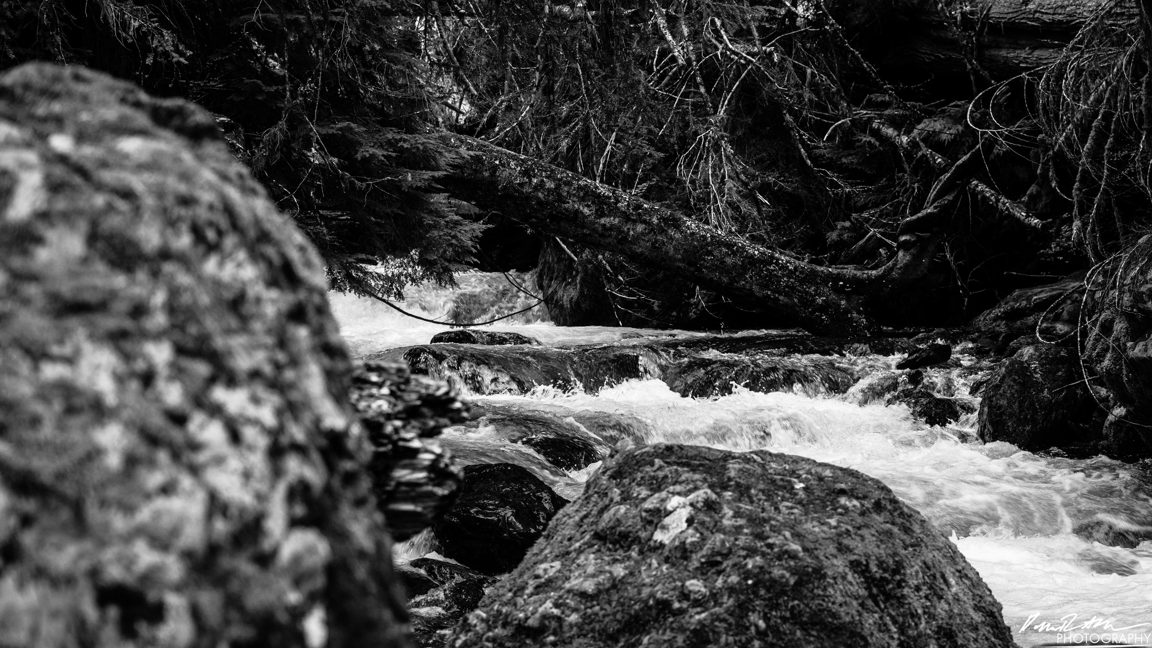 Snow Melt - Lena Lake