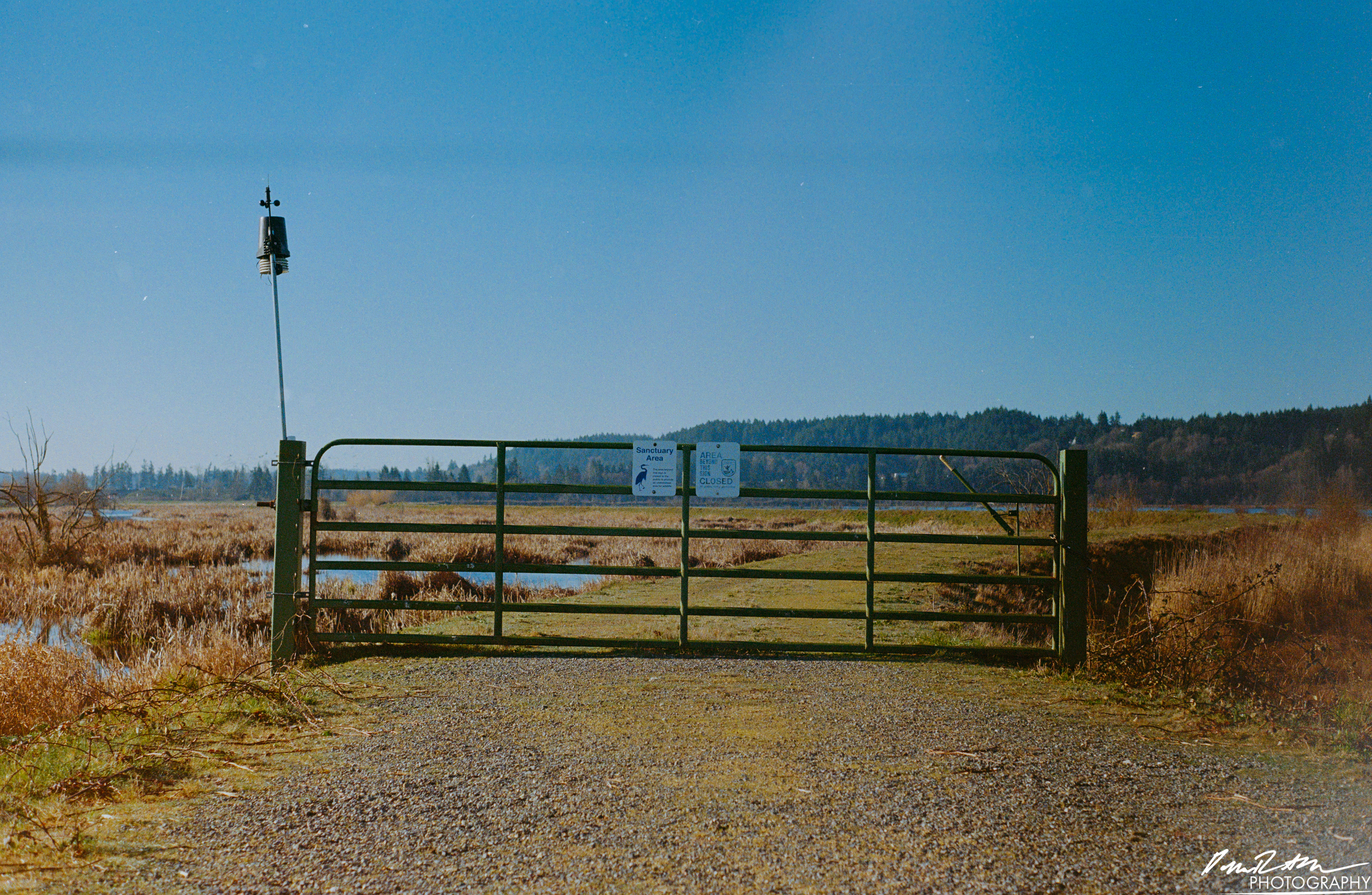 Fujifilm 400 - Nisqually Wildlife Preserve WA