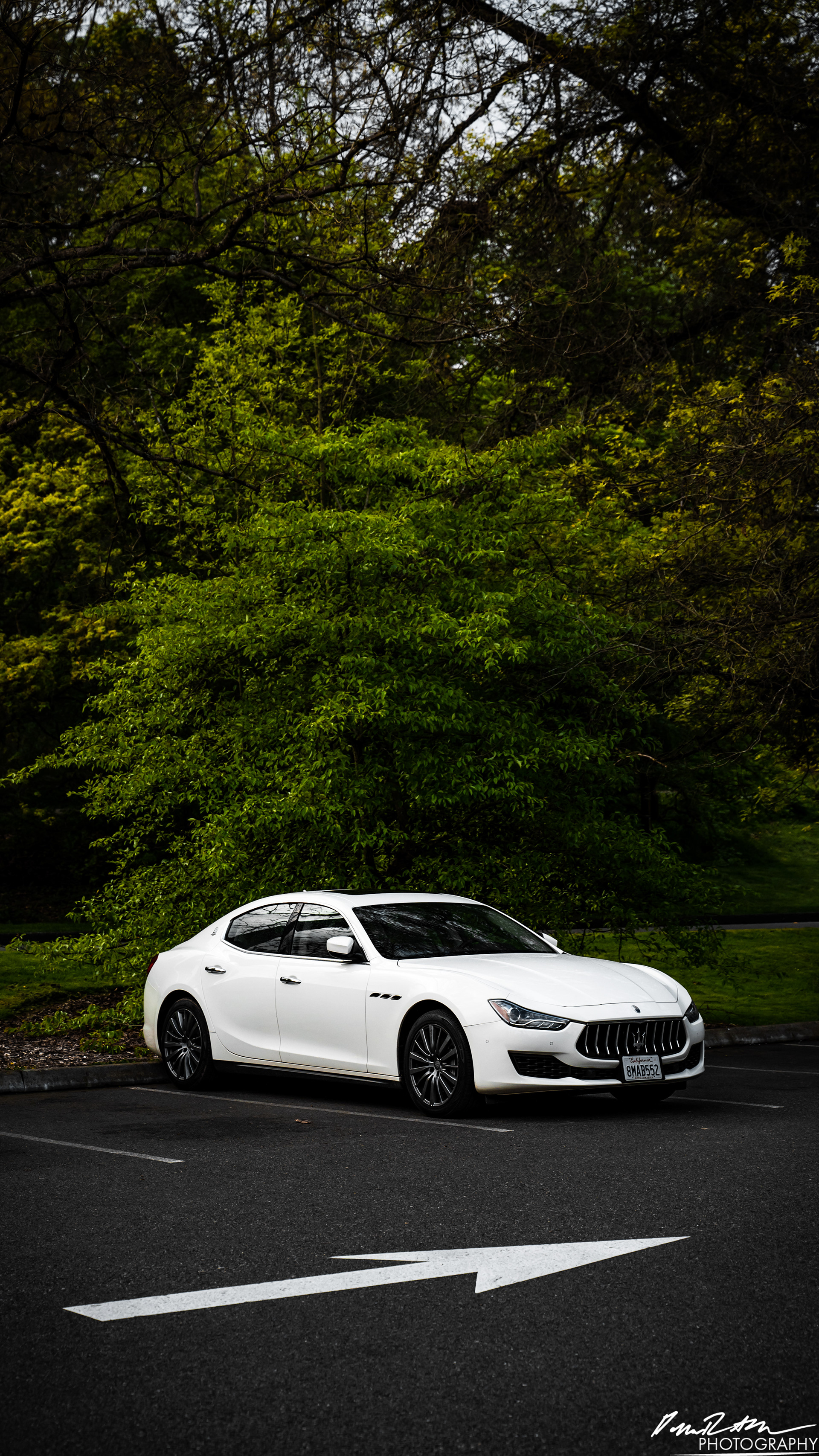 Stand Off - Seattle WA