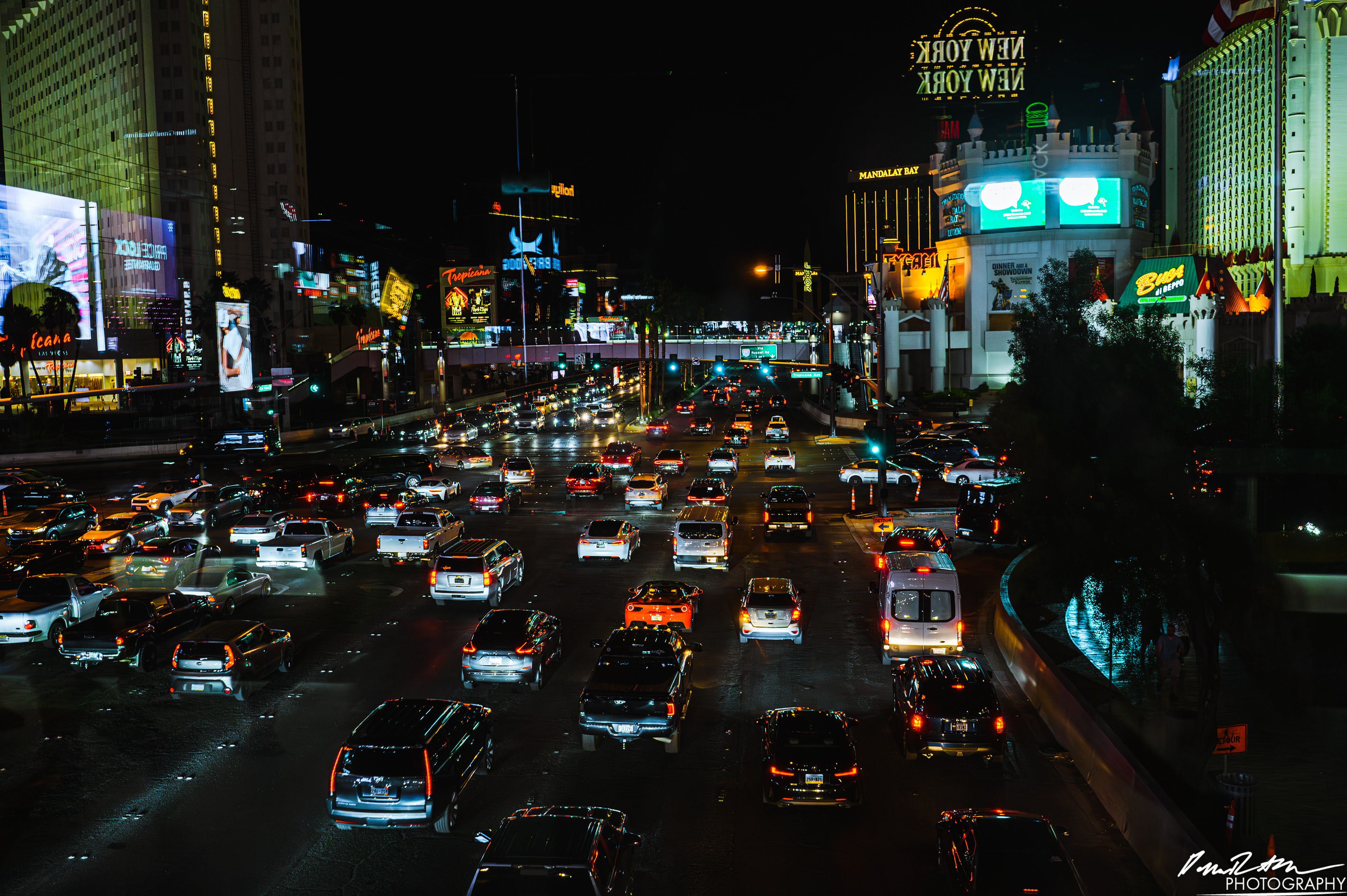 Viva Las Vegas - Las Vegas