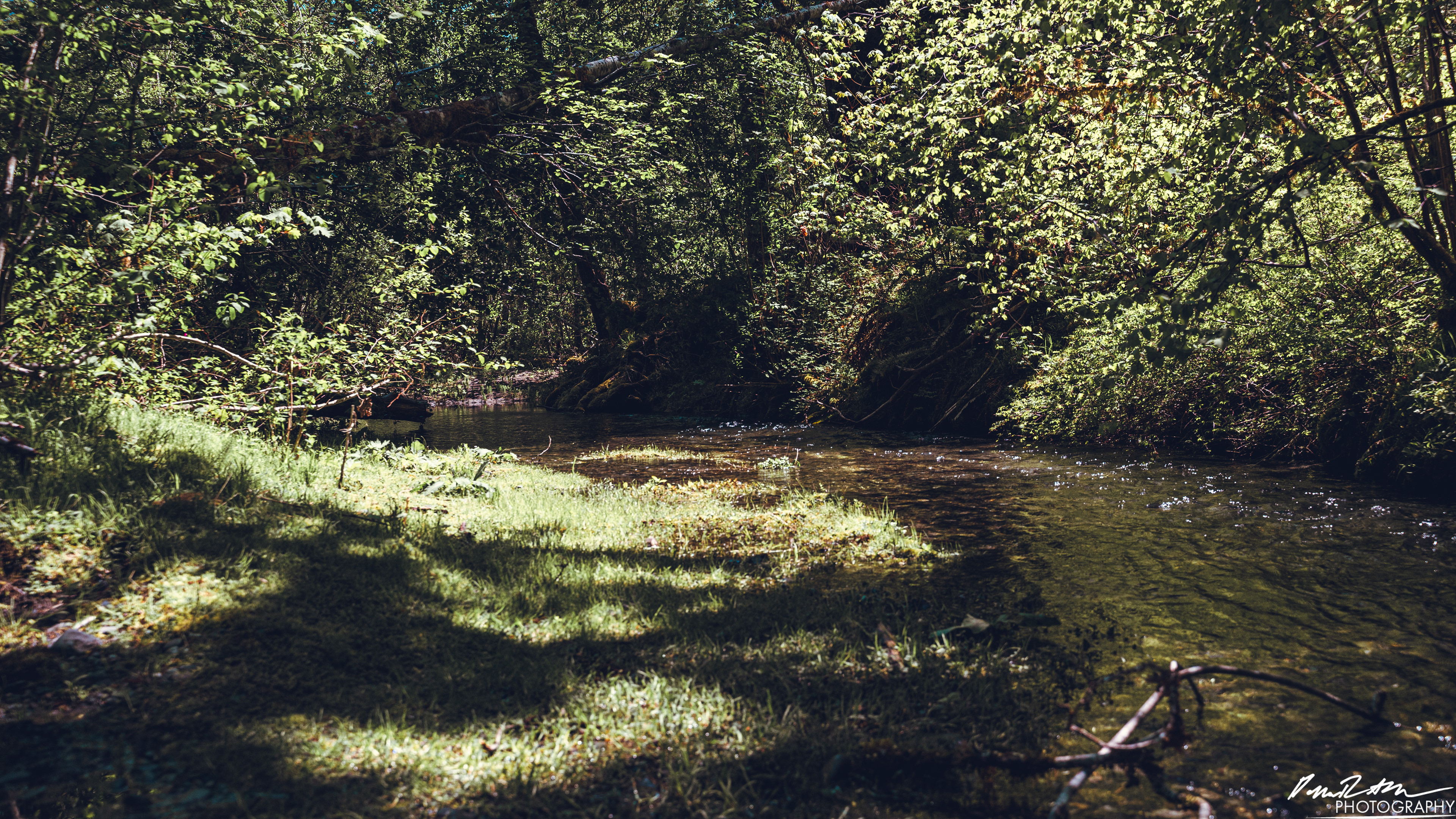 Rapids - Lake Cushman