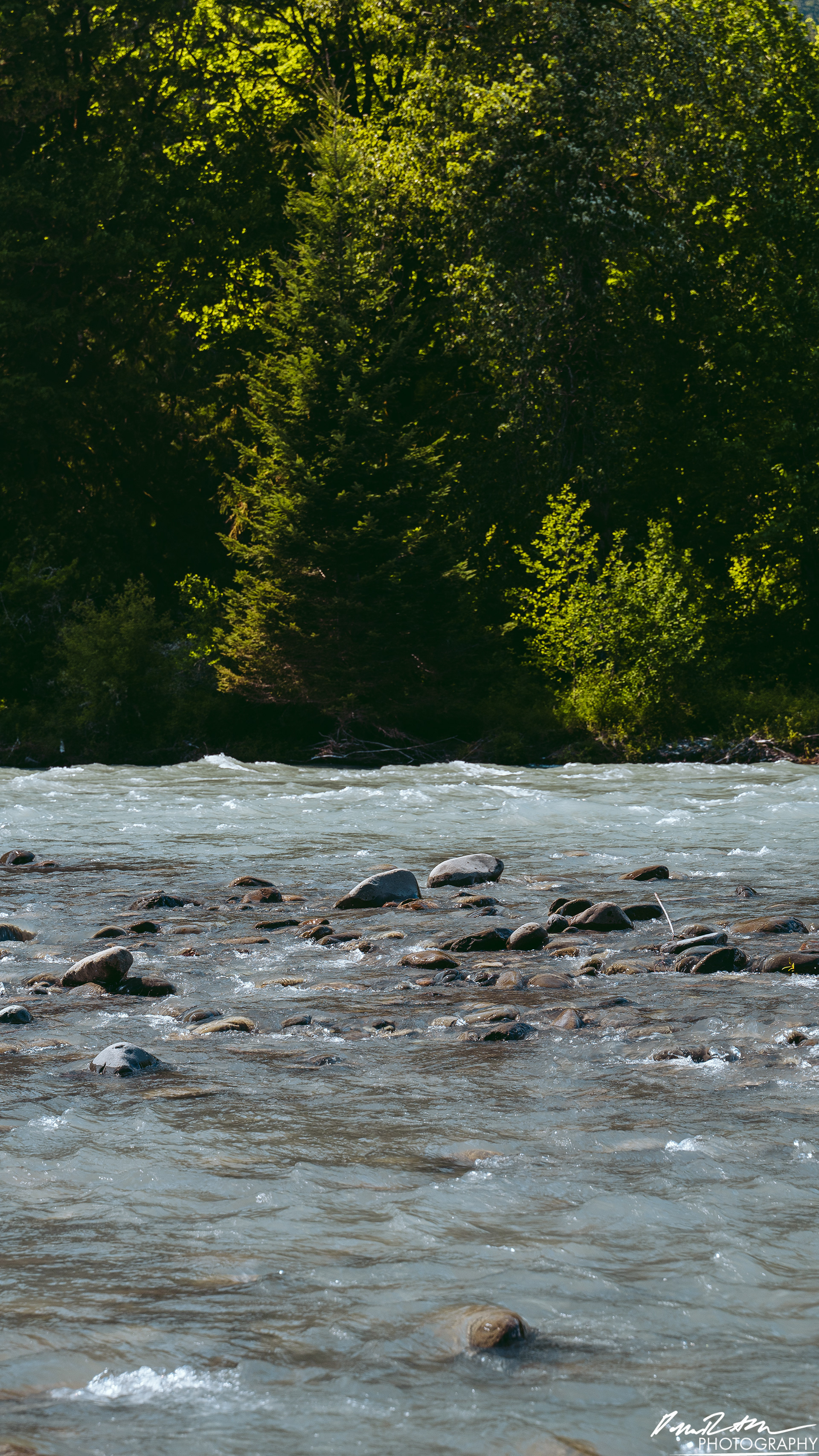 Hot Springs - Olympic National Park