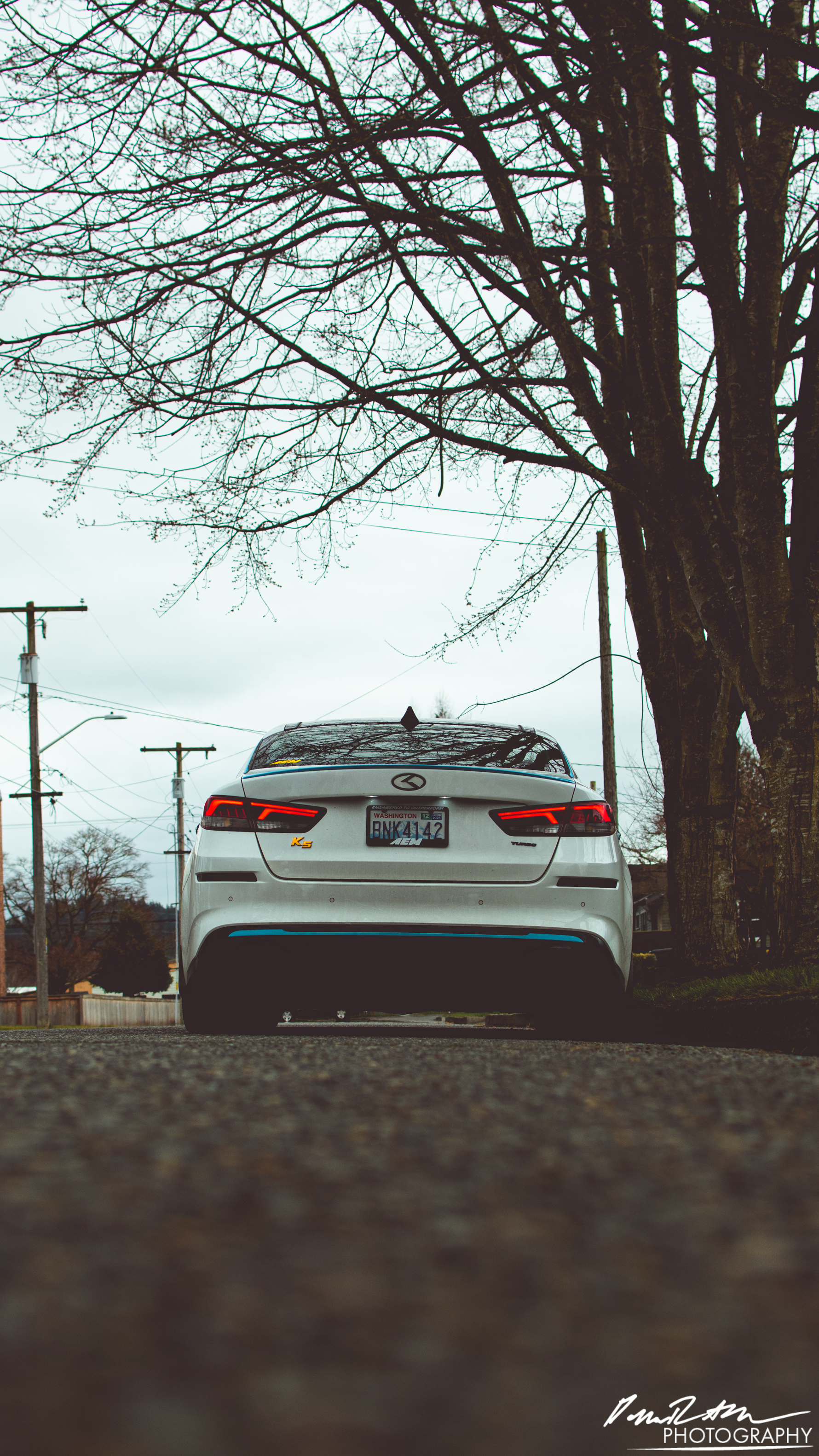 Pestilence, Enumclaw WA