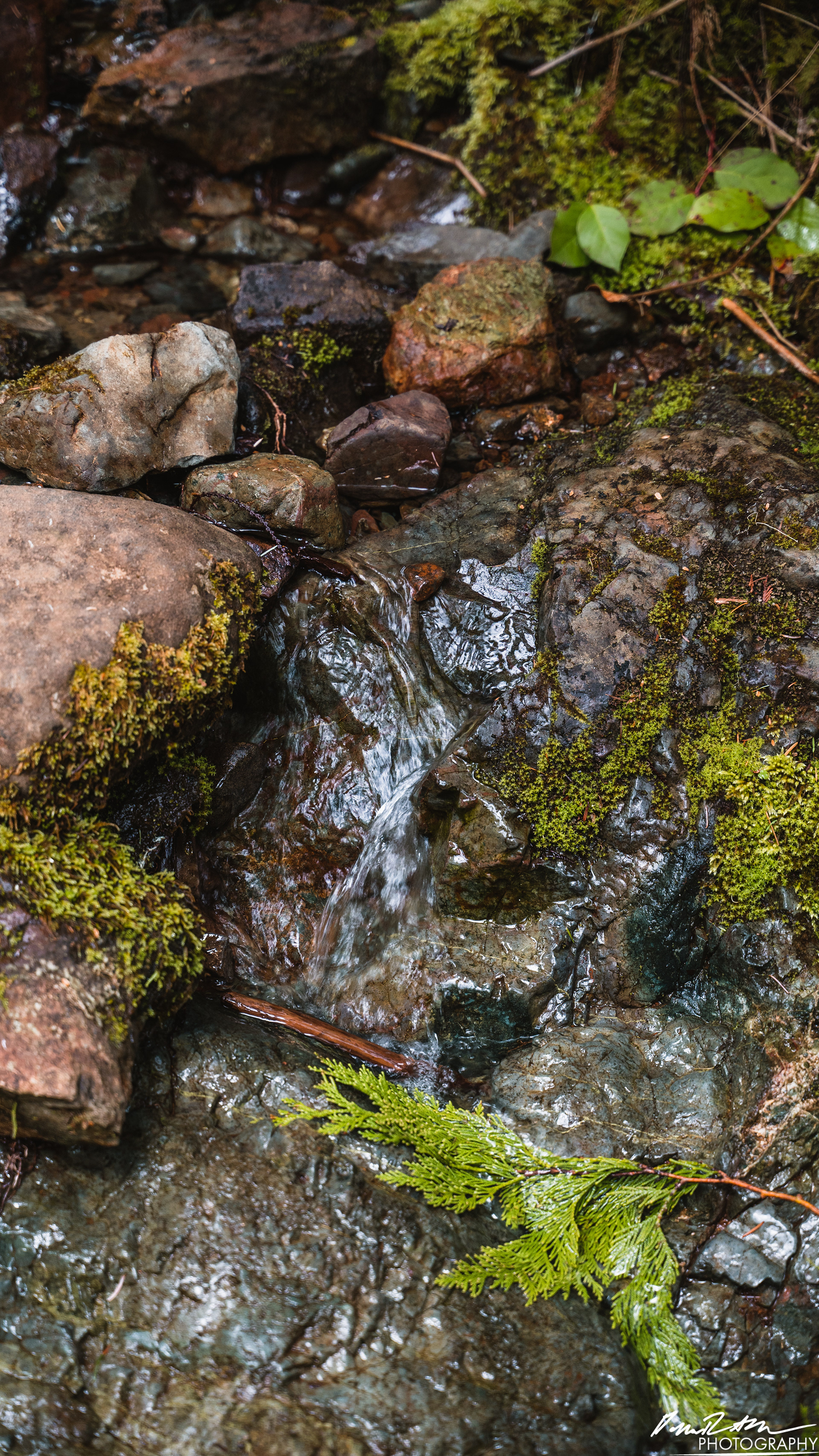 Snow Melt - Lena Lake