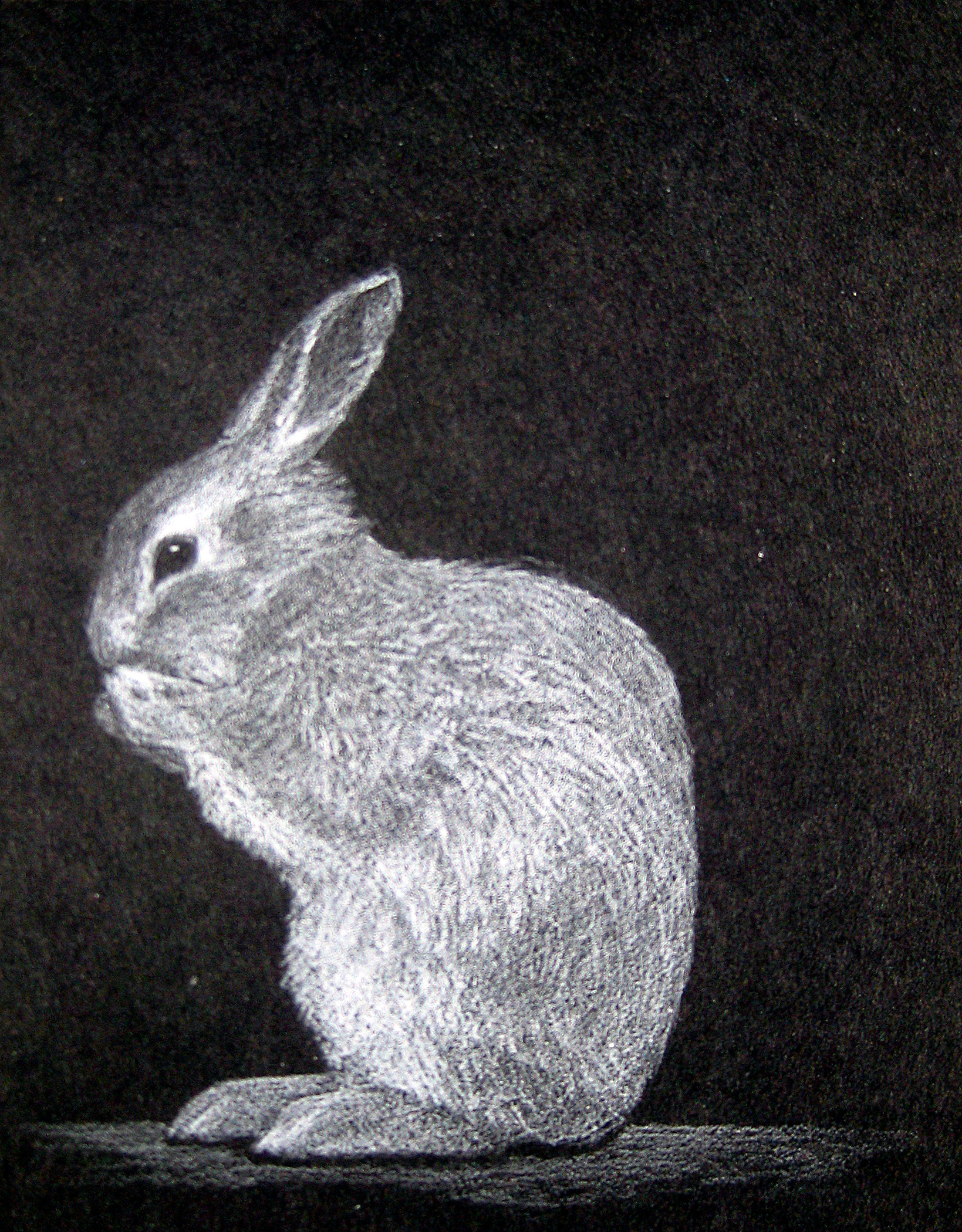 Bun