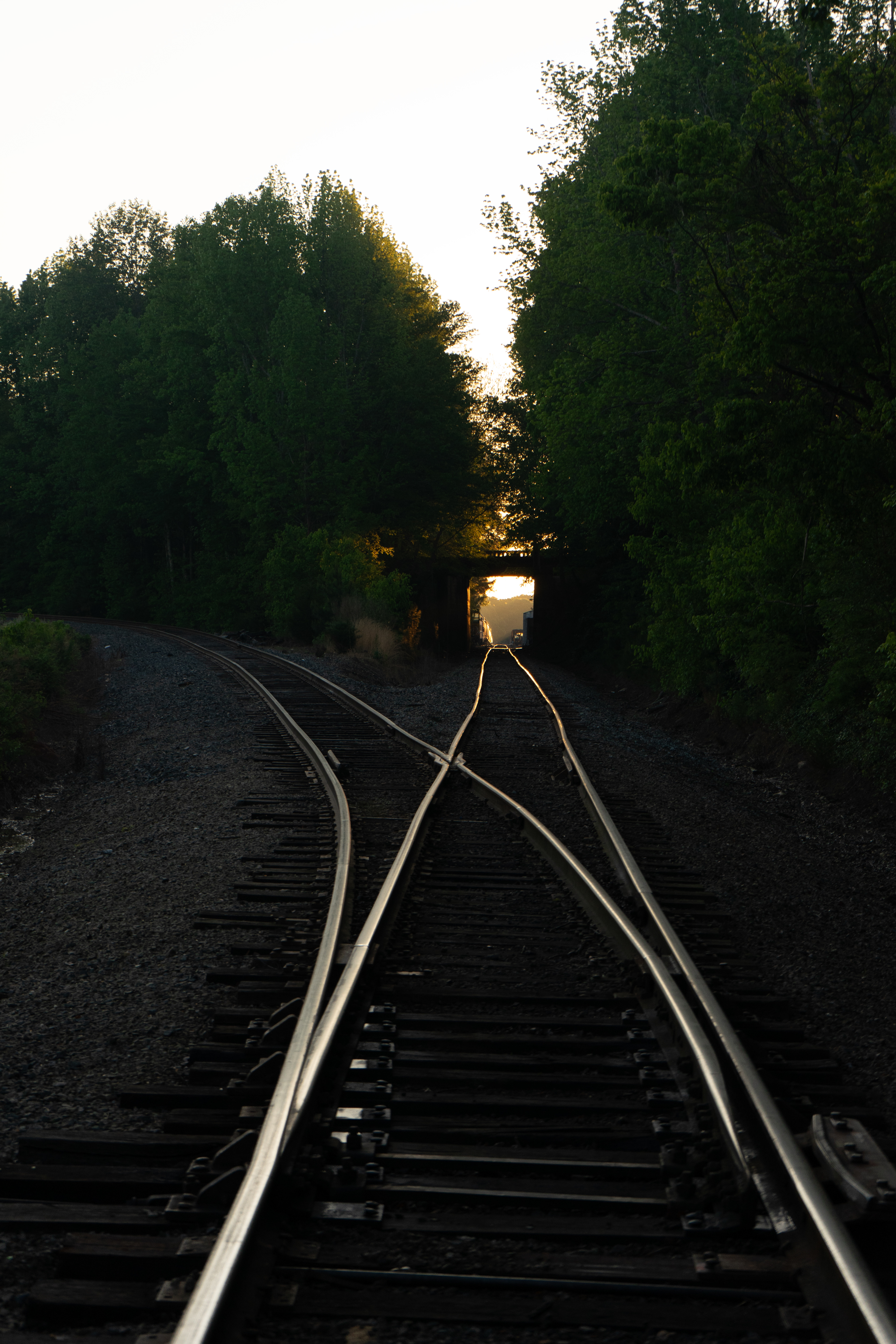Railroad Tracks at Sunrise