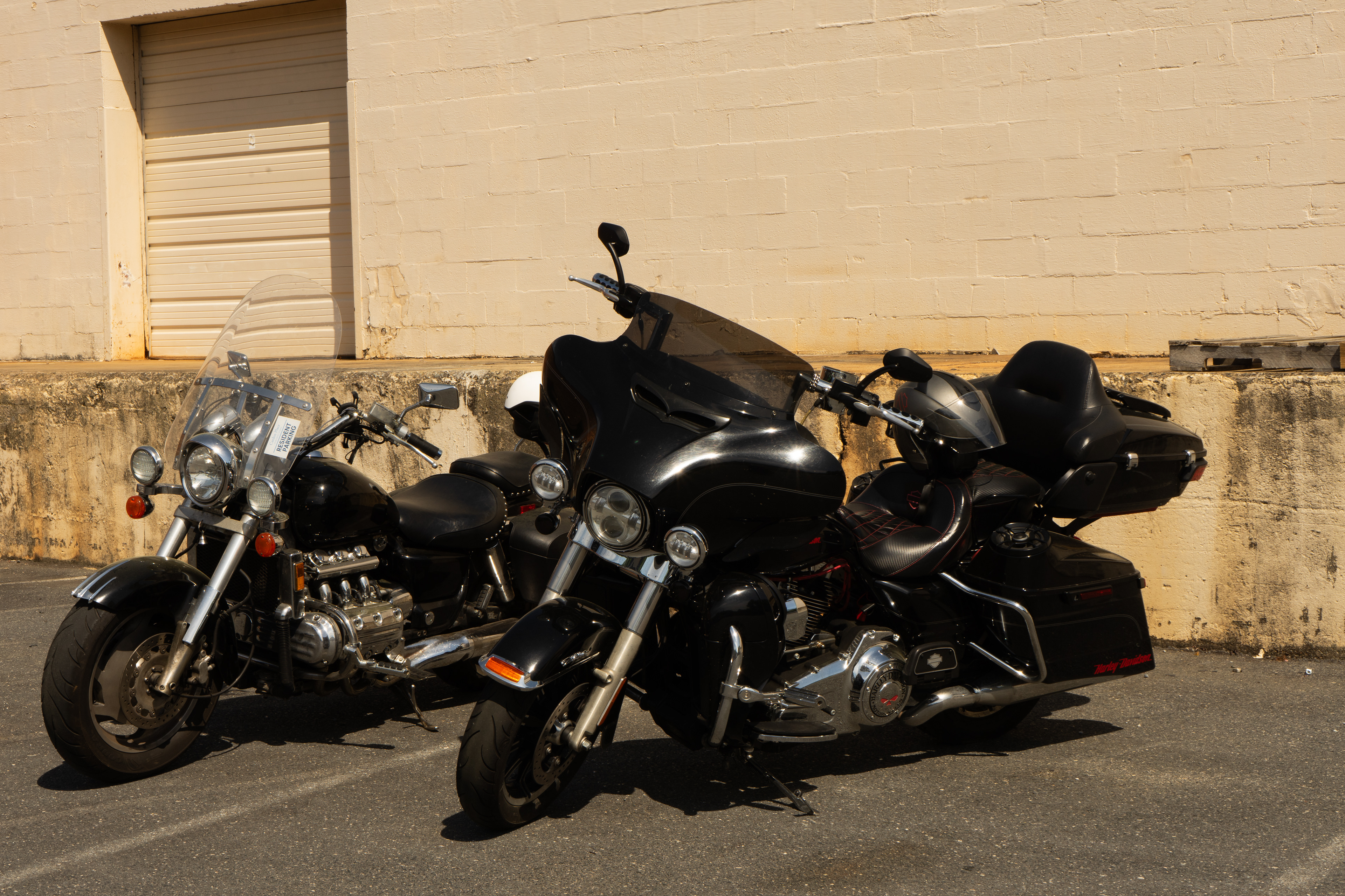 Harley Bikes