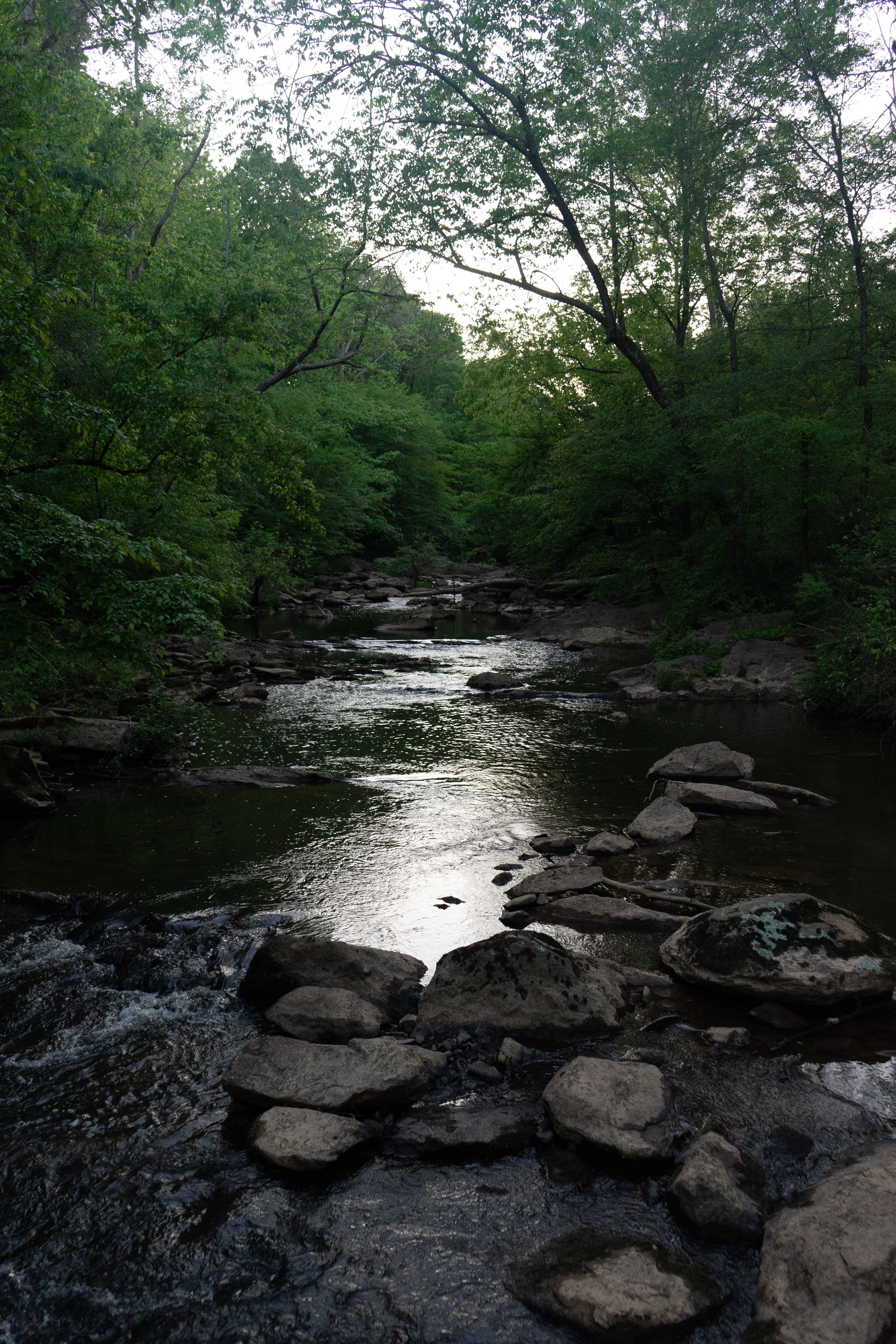 The Creek