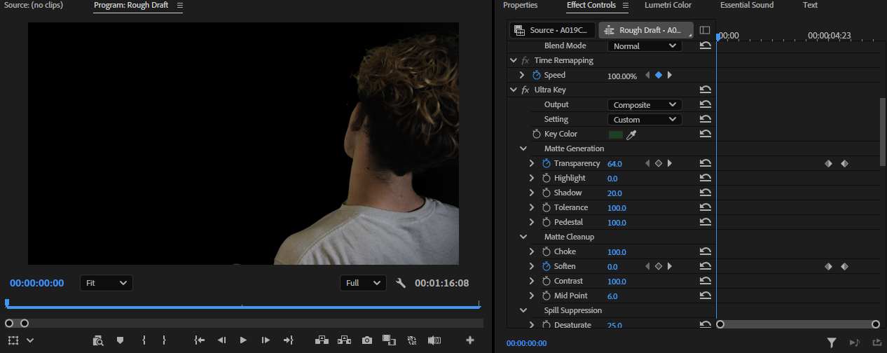 To separate Riley from the green screen, we used the Ultra Key effect to remove the background.