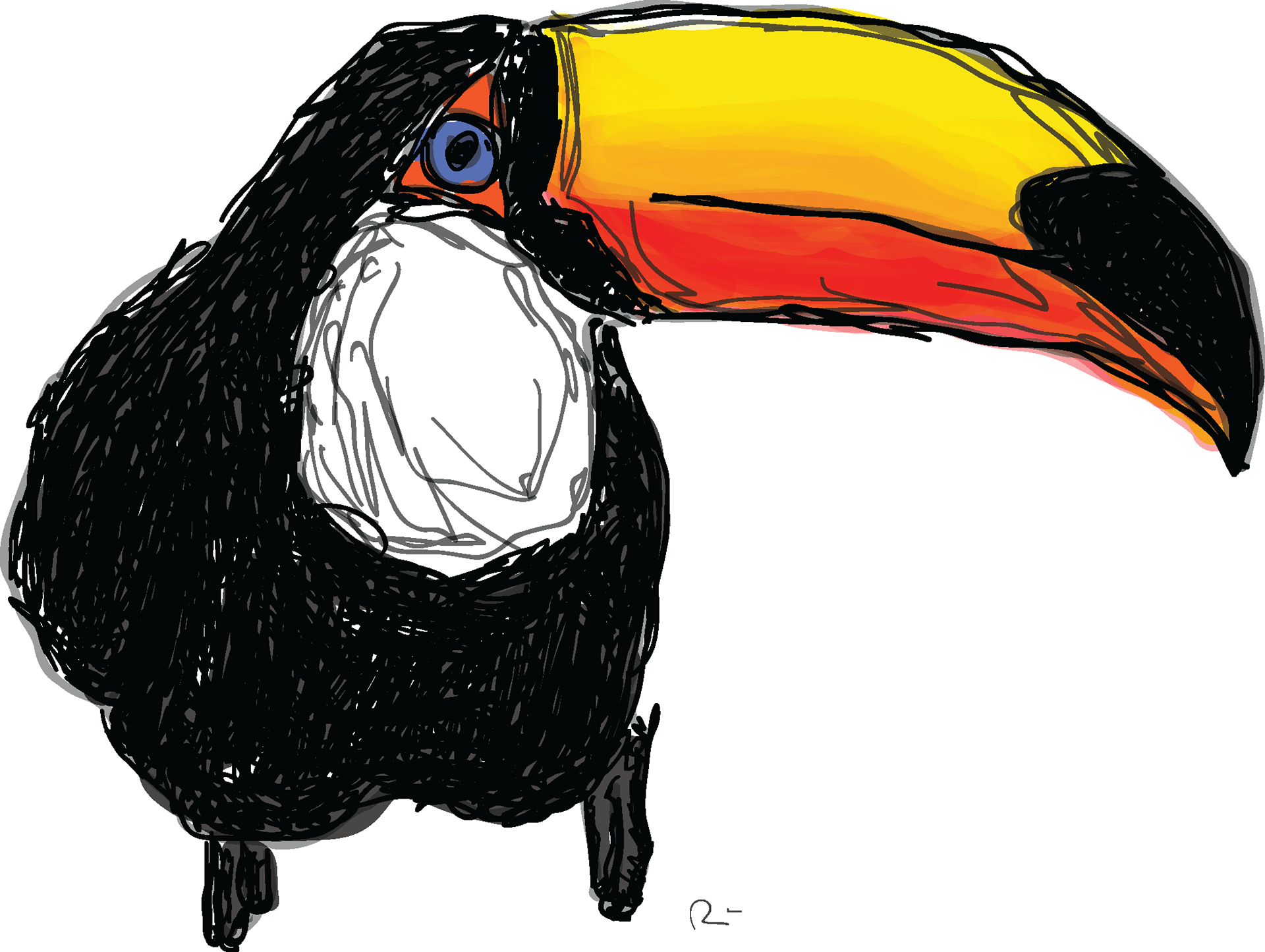 Tucano