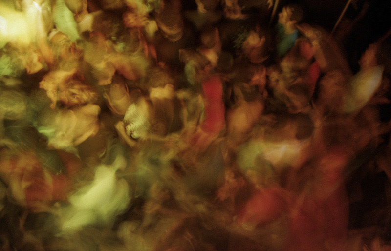Mosh vol.I - 50x75cm