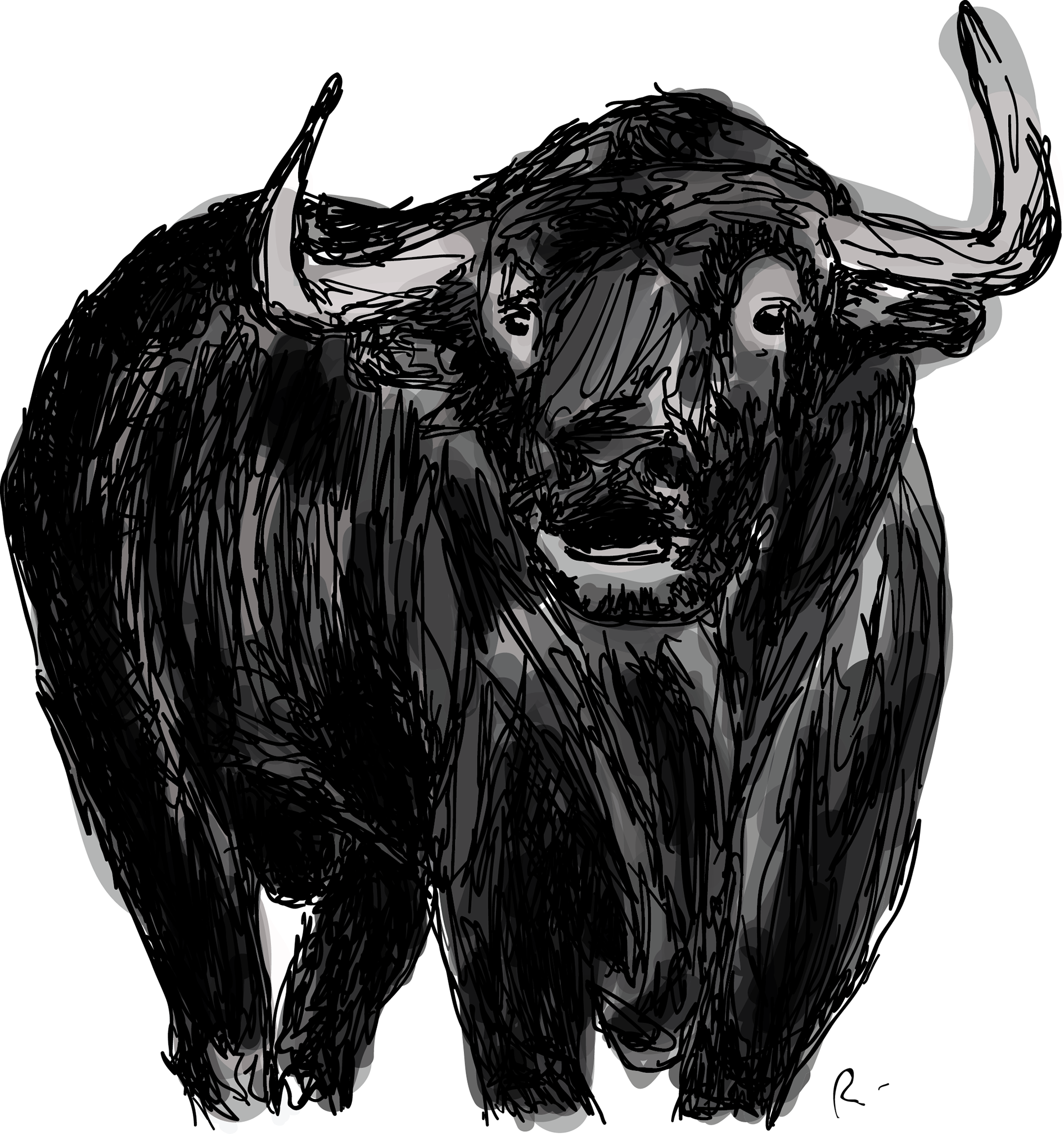 Bull