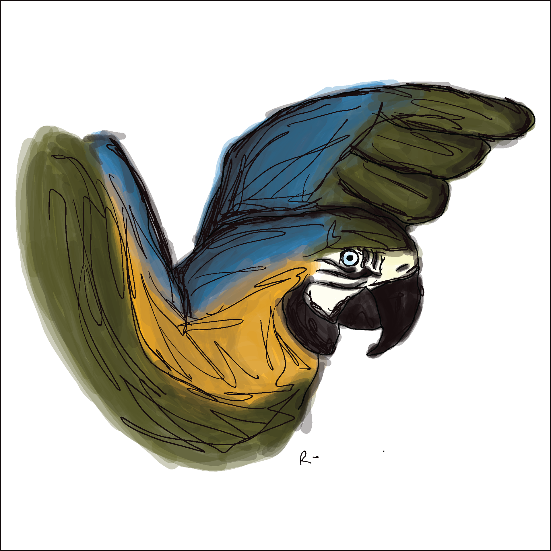 Arara