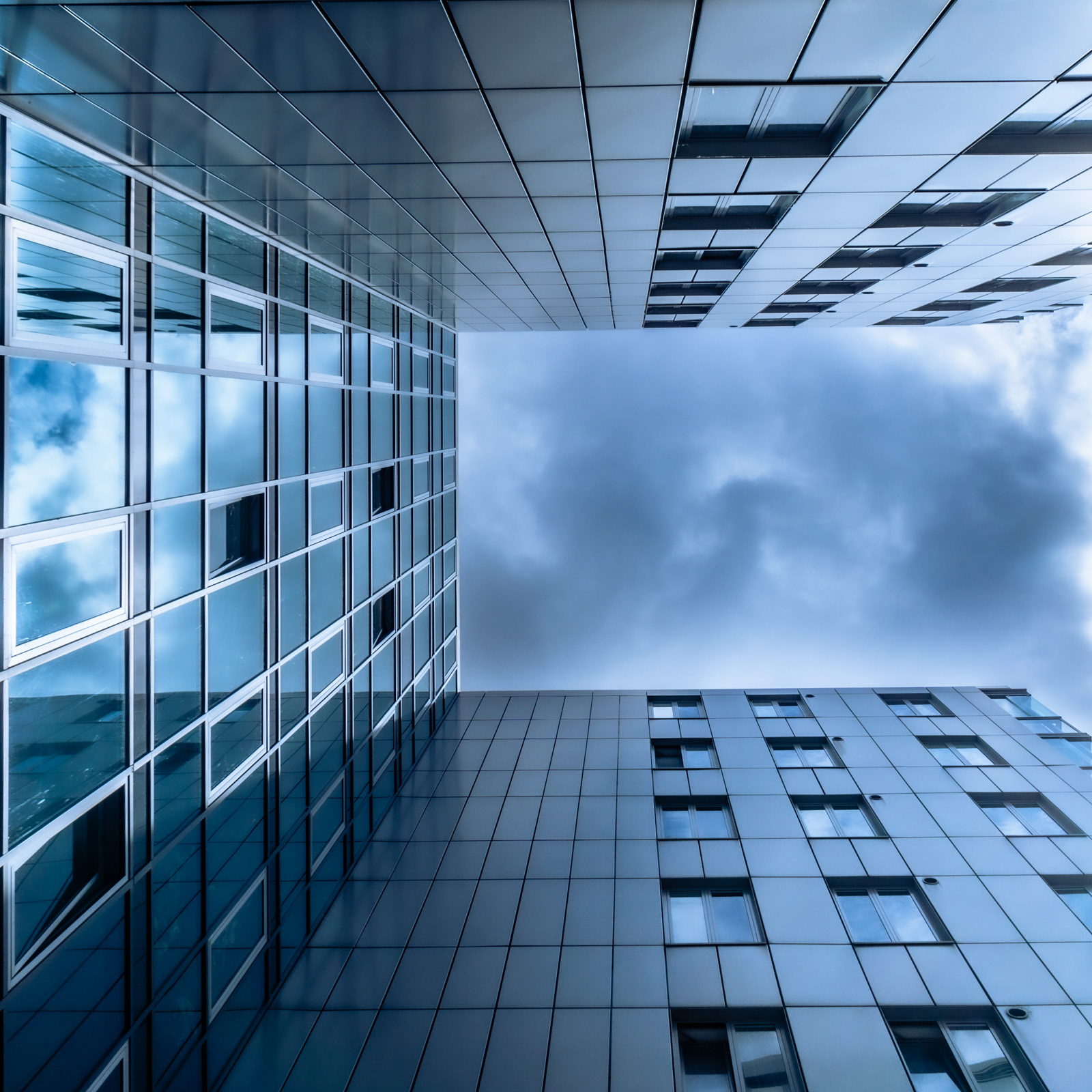 the look up | Settings: | iso 100 | 16mm | f/8 | 1/800 Sek. |