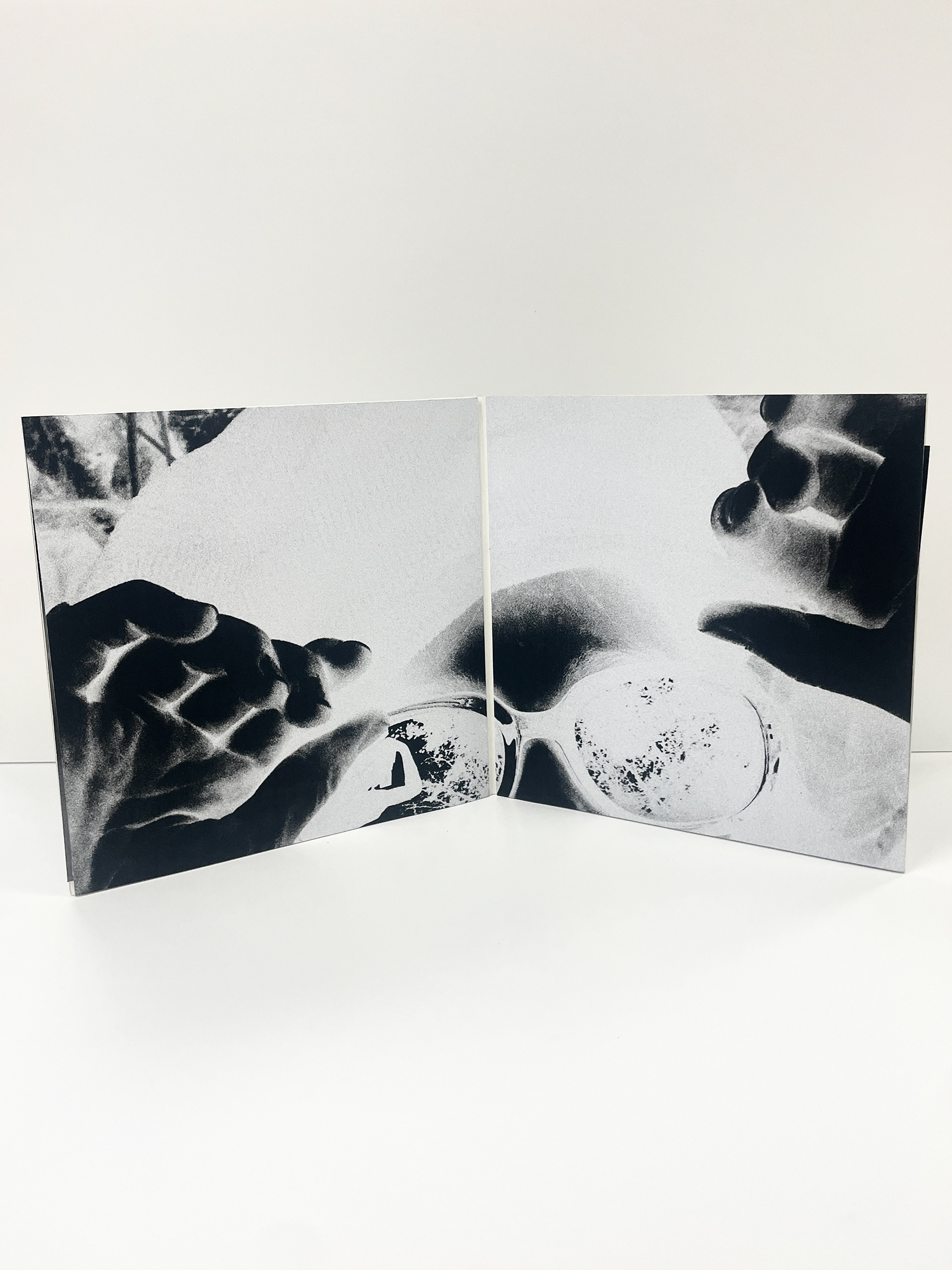 Gatefold Deluxe Interior Spread