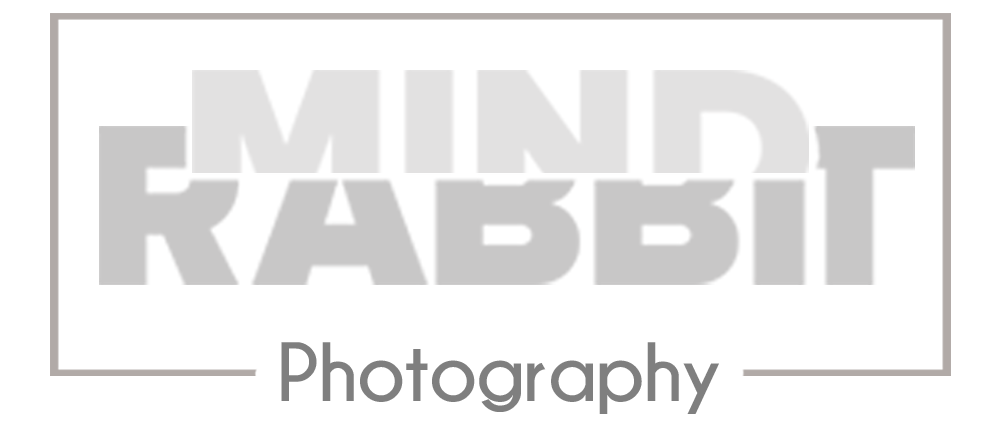 MindRabbit Photography - Anna-Carina Schmidt