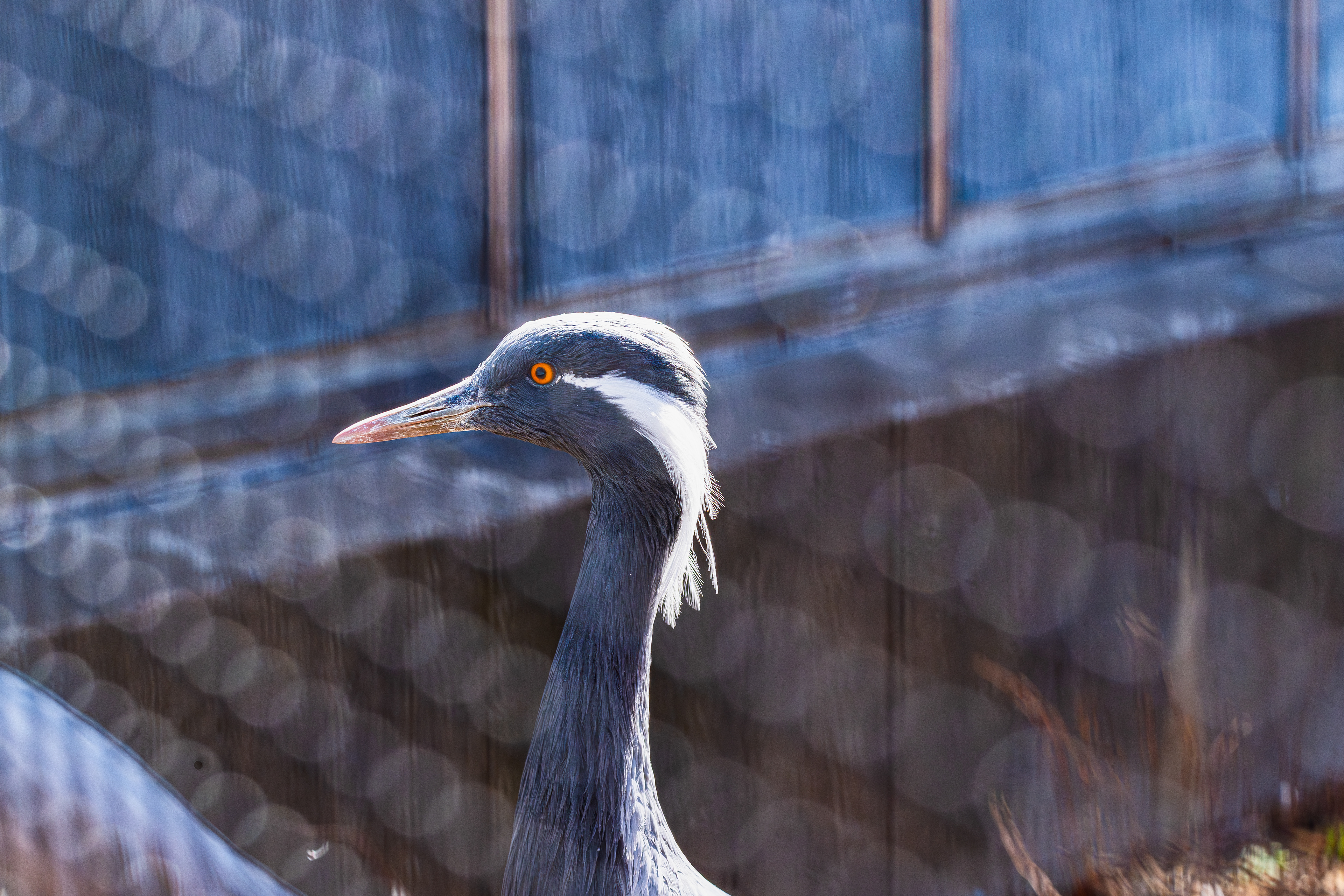 Patterned Perception