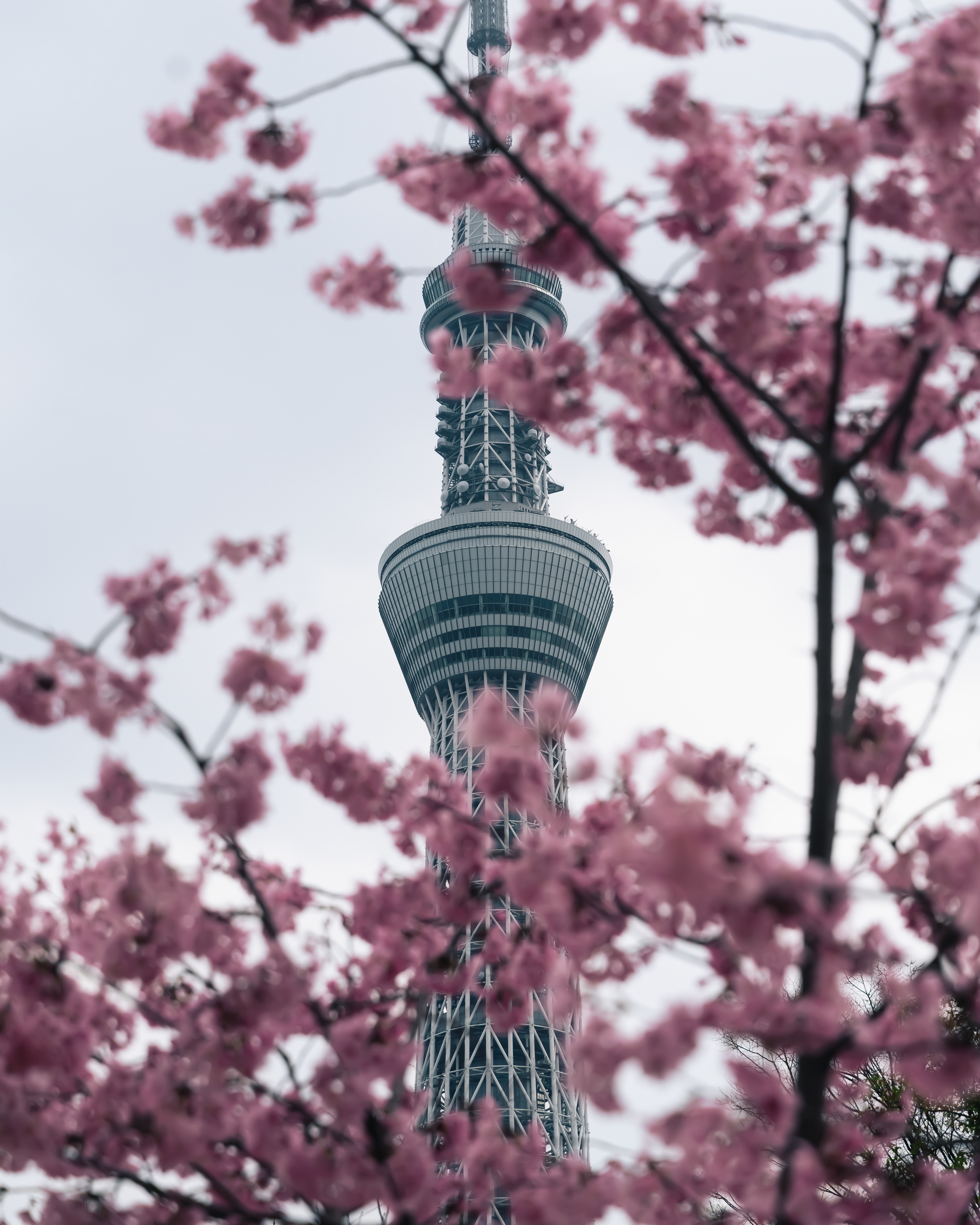 Tokyo Skytree, Tokyo, Japan 2025