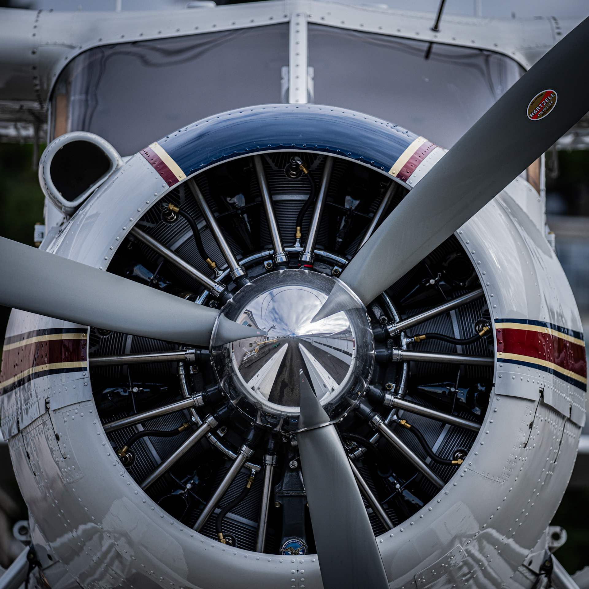 Radial
