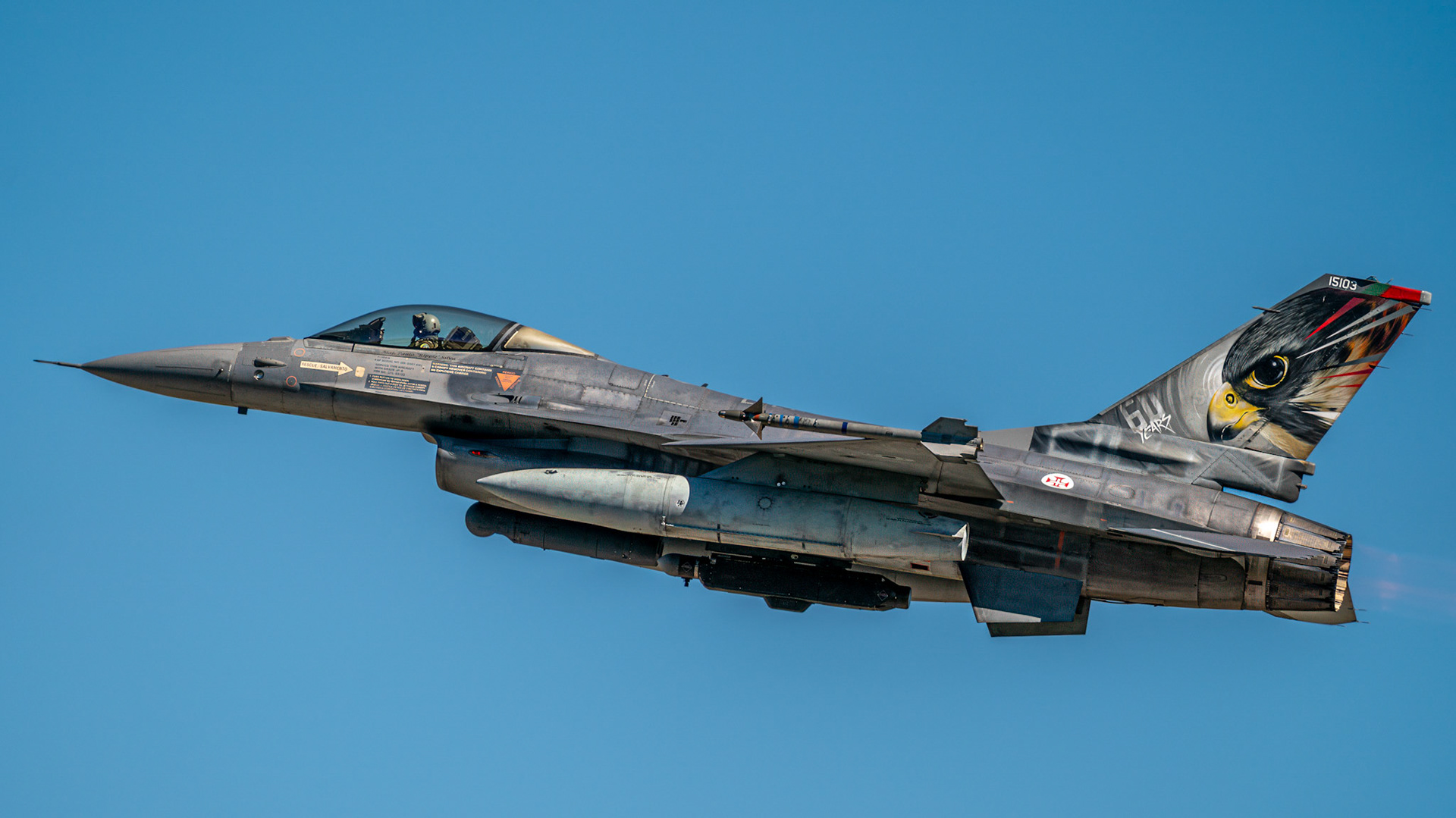 Portuguese Air Force F-16