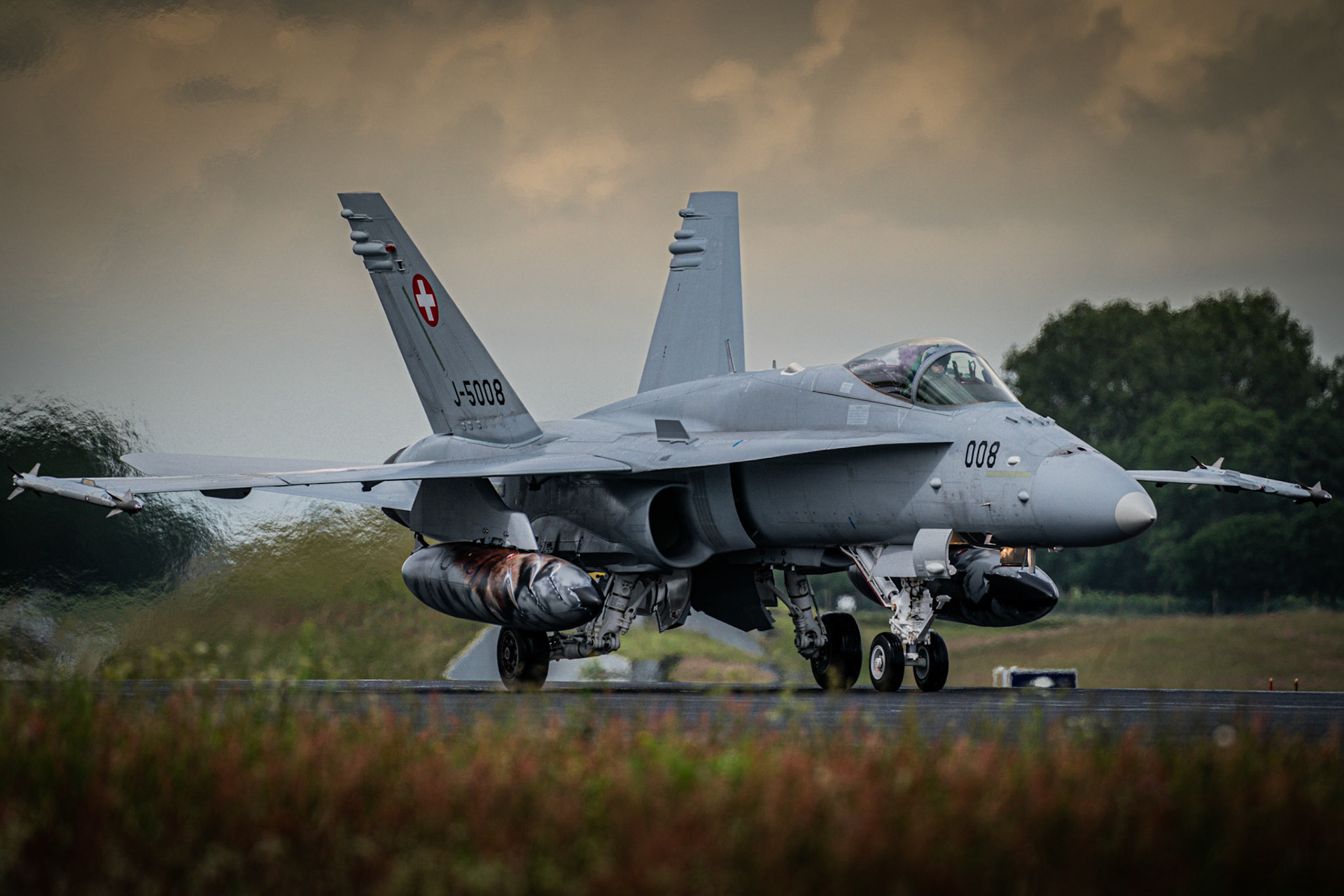 F/A-18C Hornet, Fliegerstaffel 11, Schweizer Luftwaffe