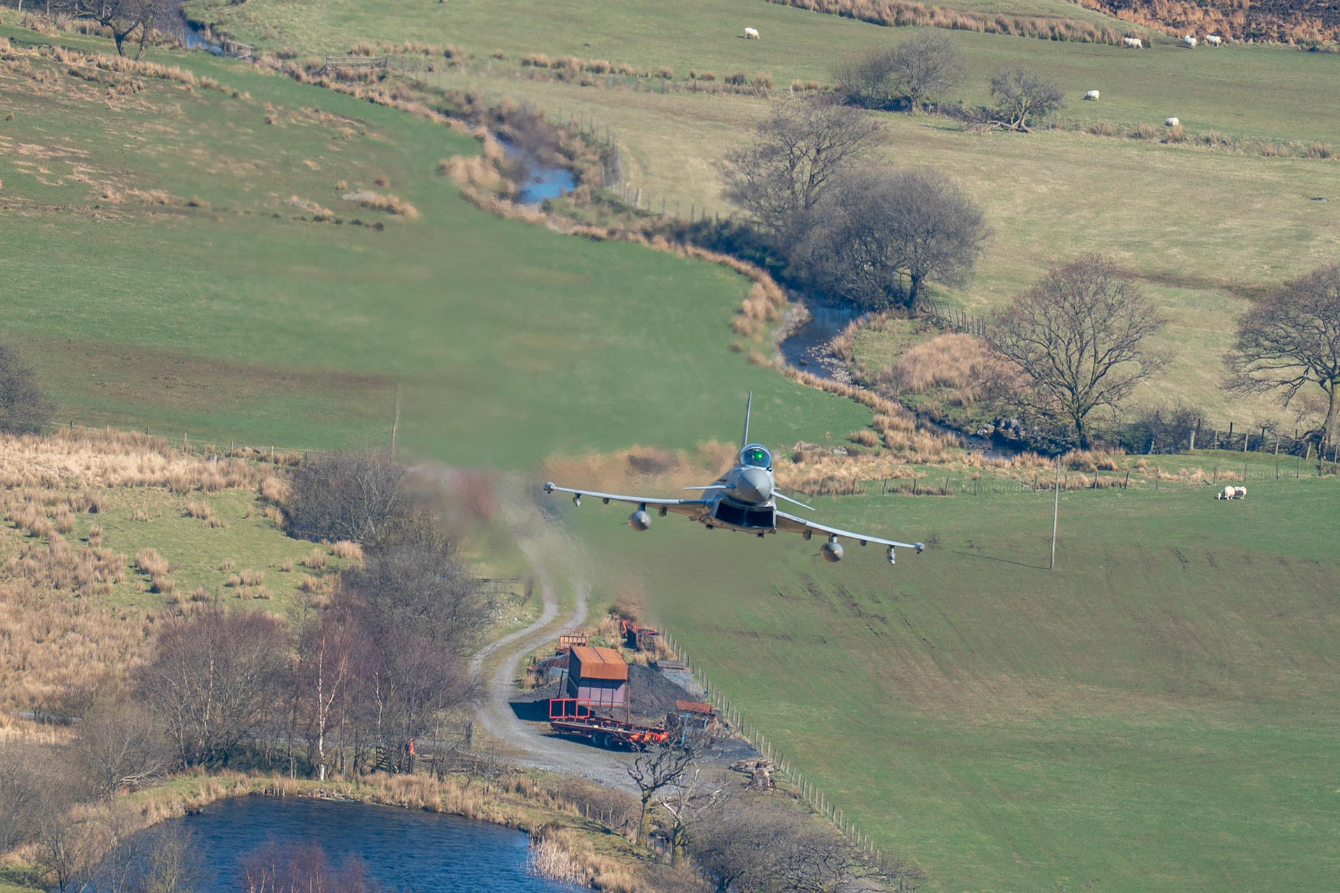 Typhoon T.3 XVI Squadron RAF
