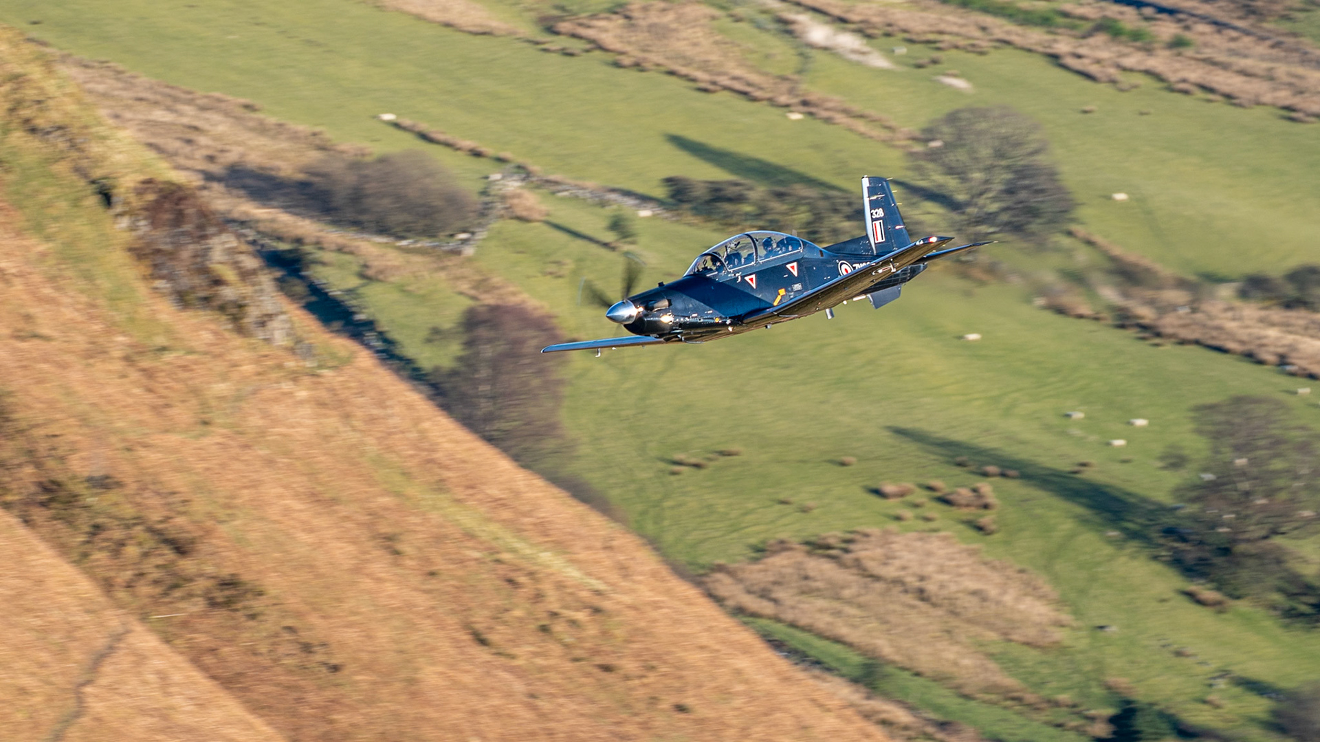 Texan T.1 72 Squadron RAF
