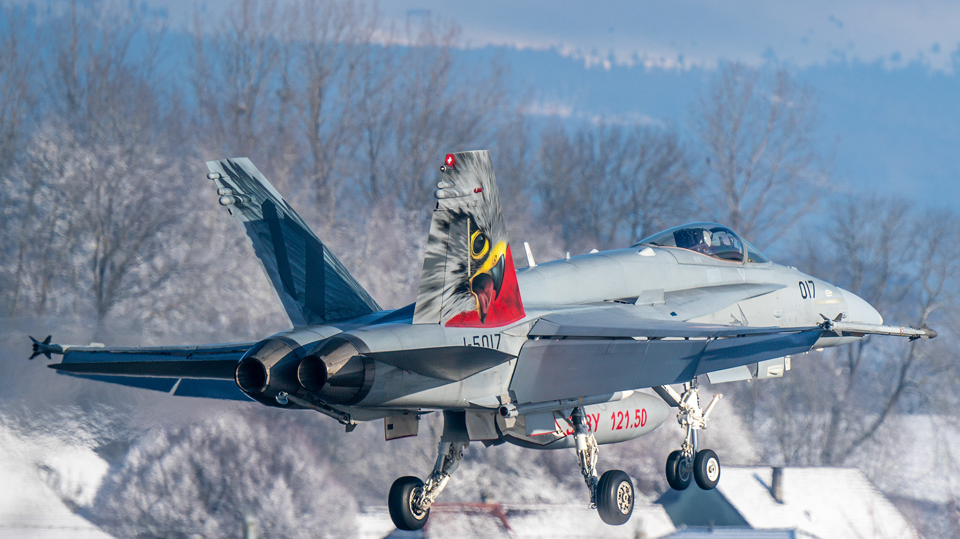 Falcon Tail