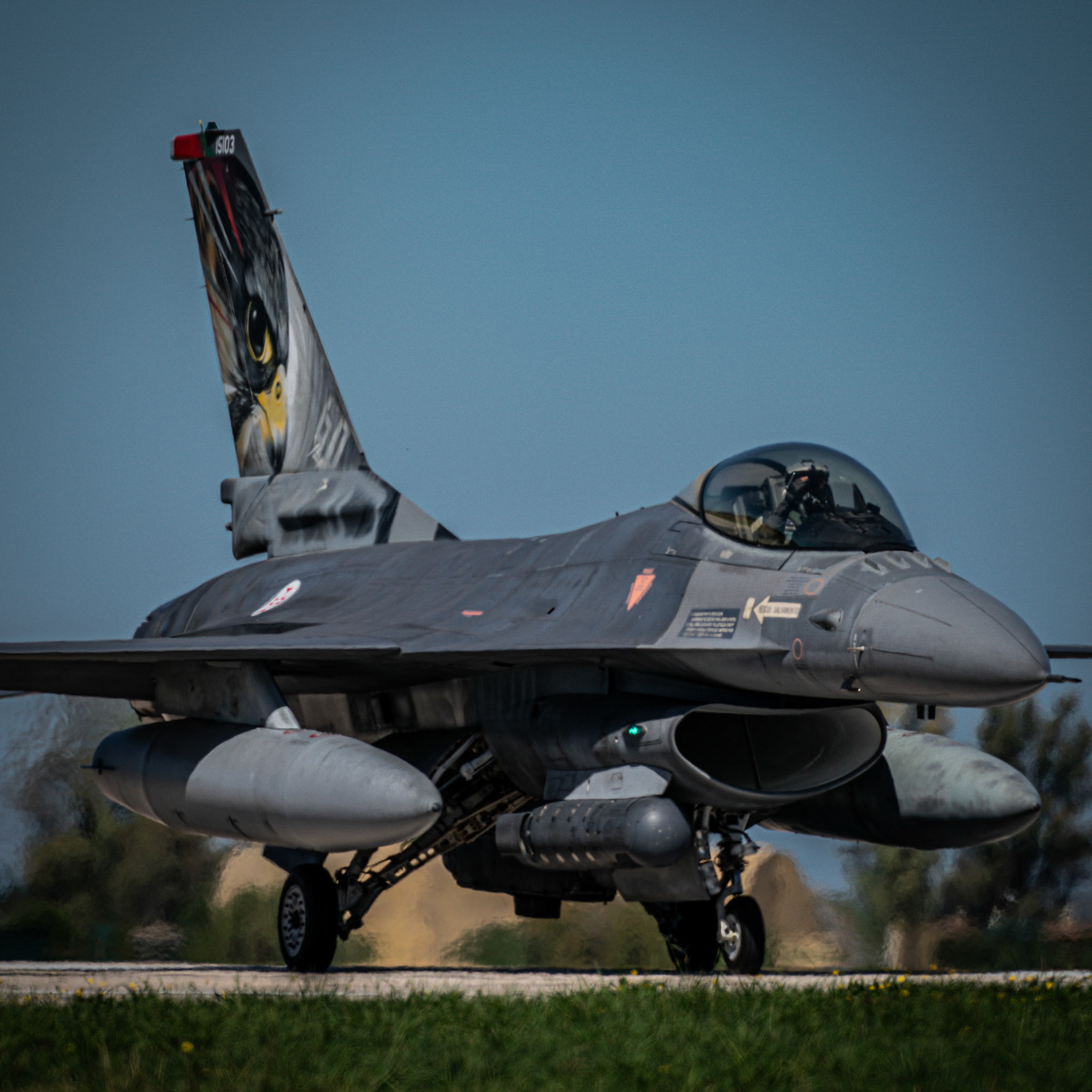 Portuguese Air Force F-16