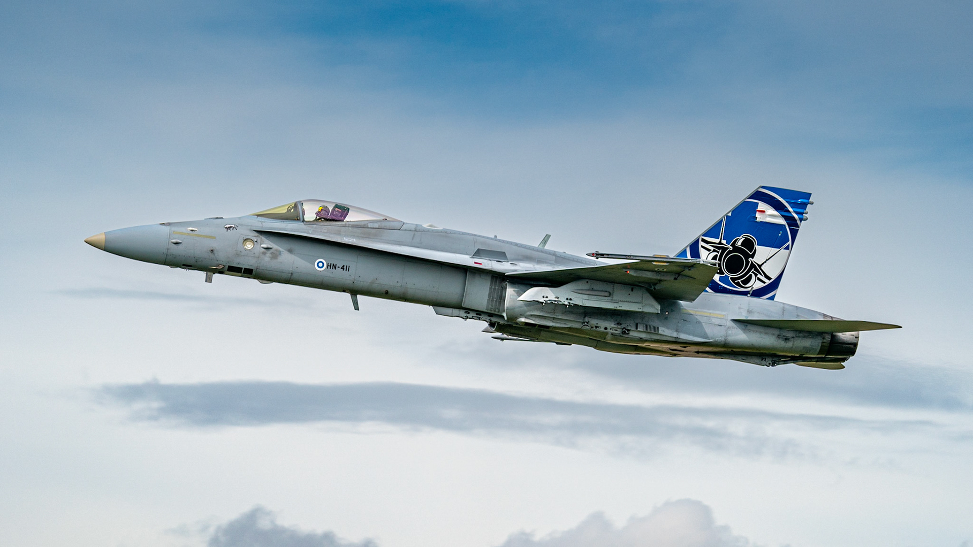 Finnish Hornet