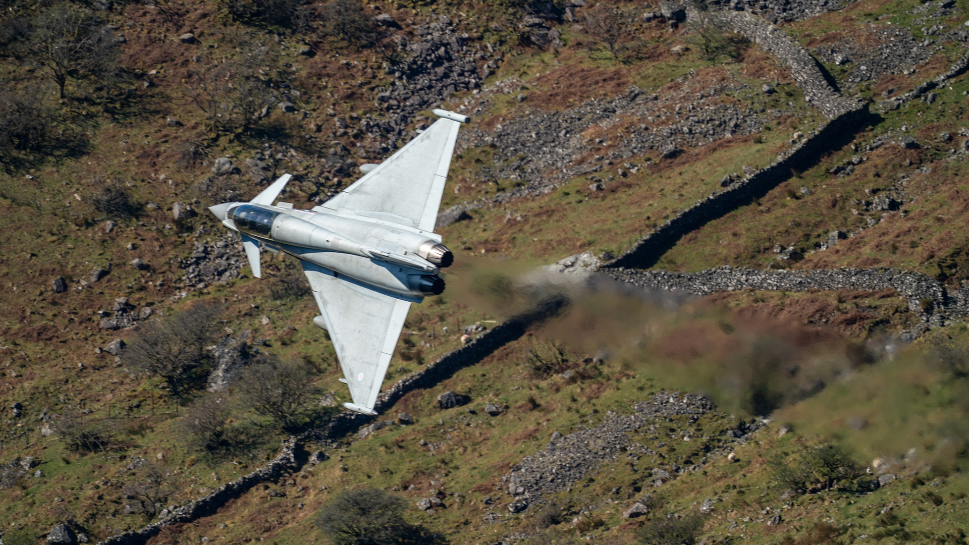 Typhoon T.3 XVI Squadron RAF