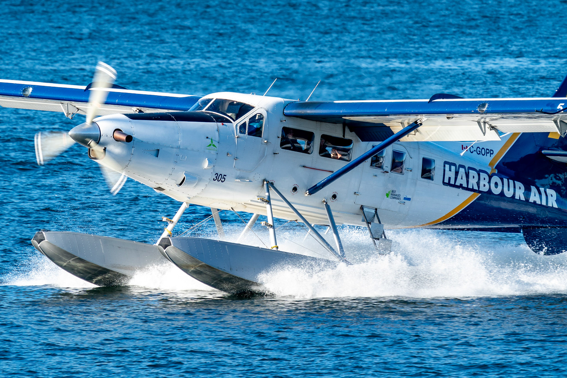 Turbine Otter