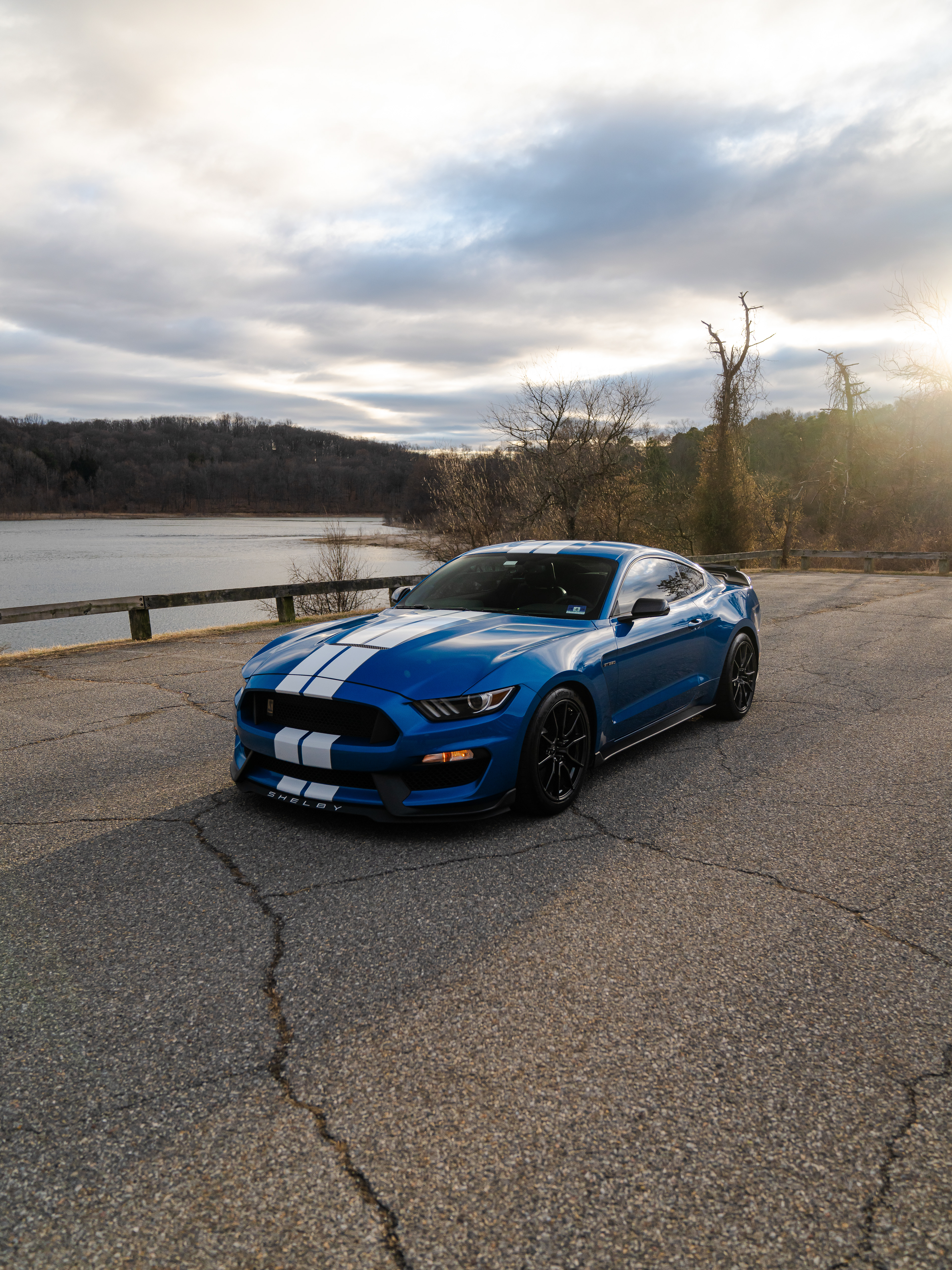 3.6.25 Shelby GT350