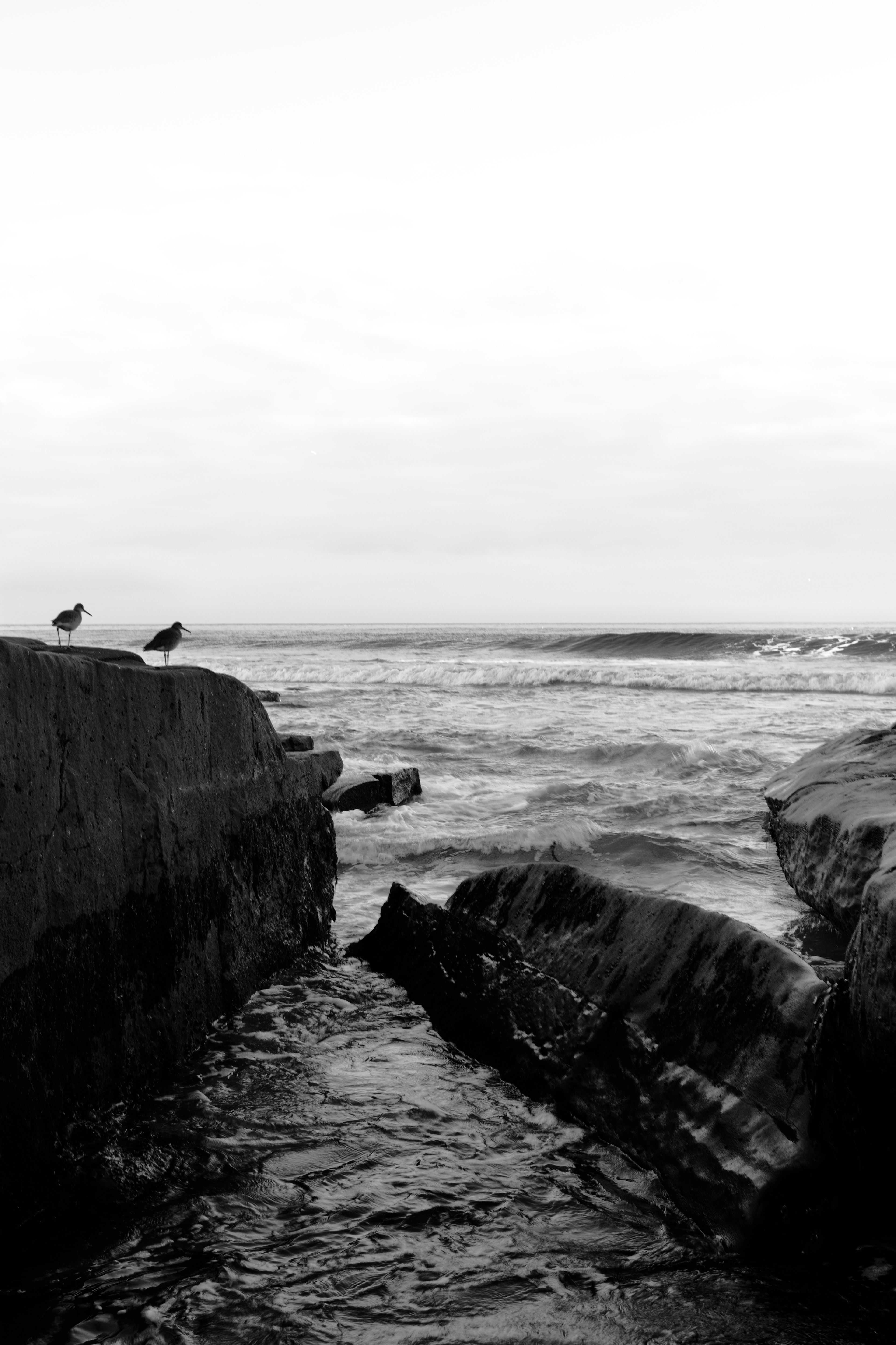 La Jolla Cove, San Diego, CA 2025