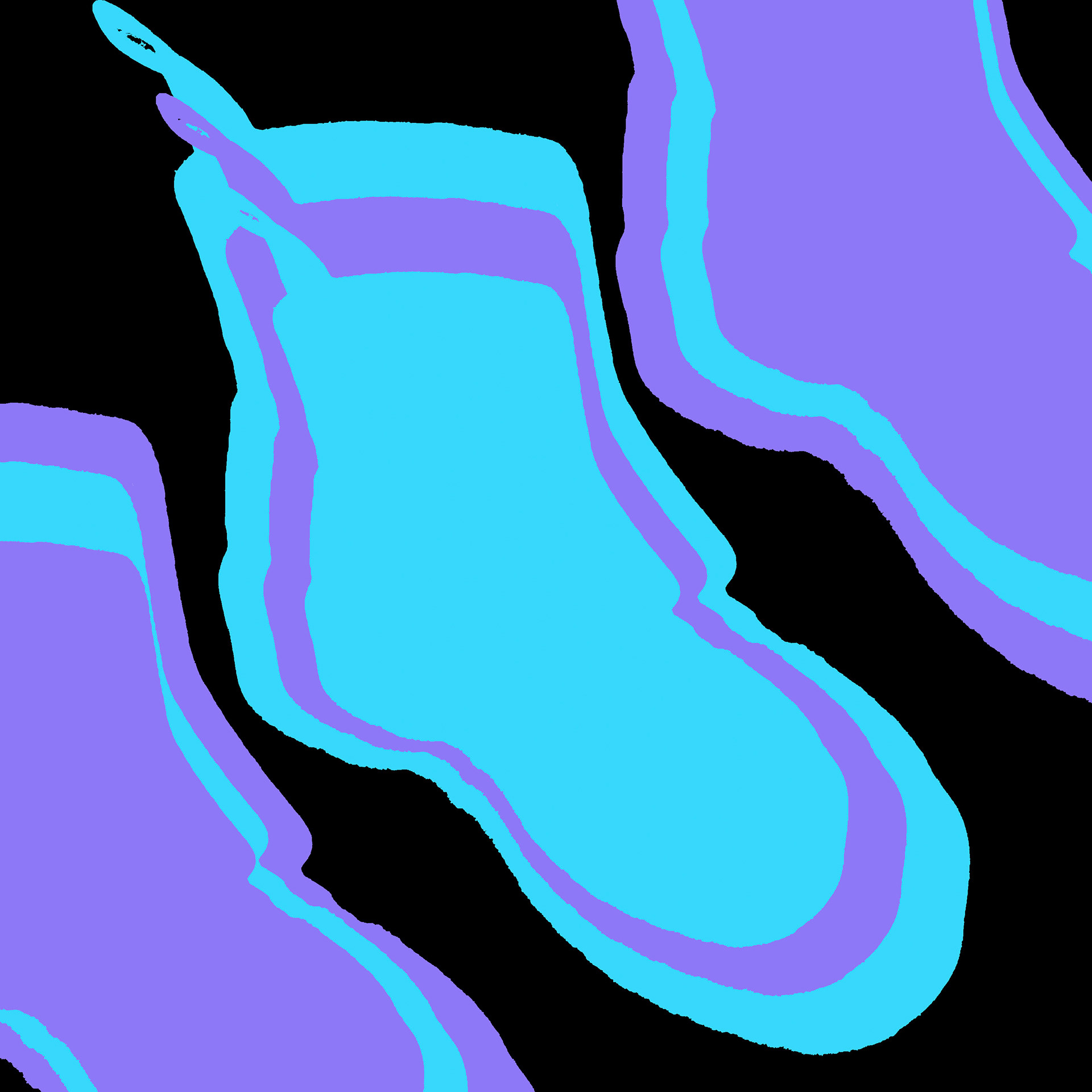 Photoshop & Procreate