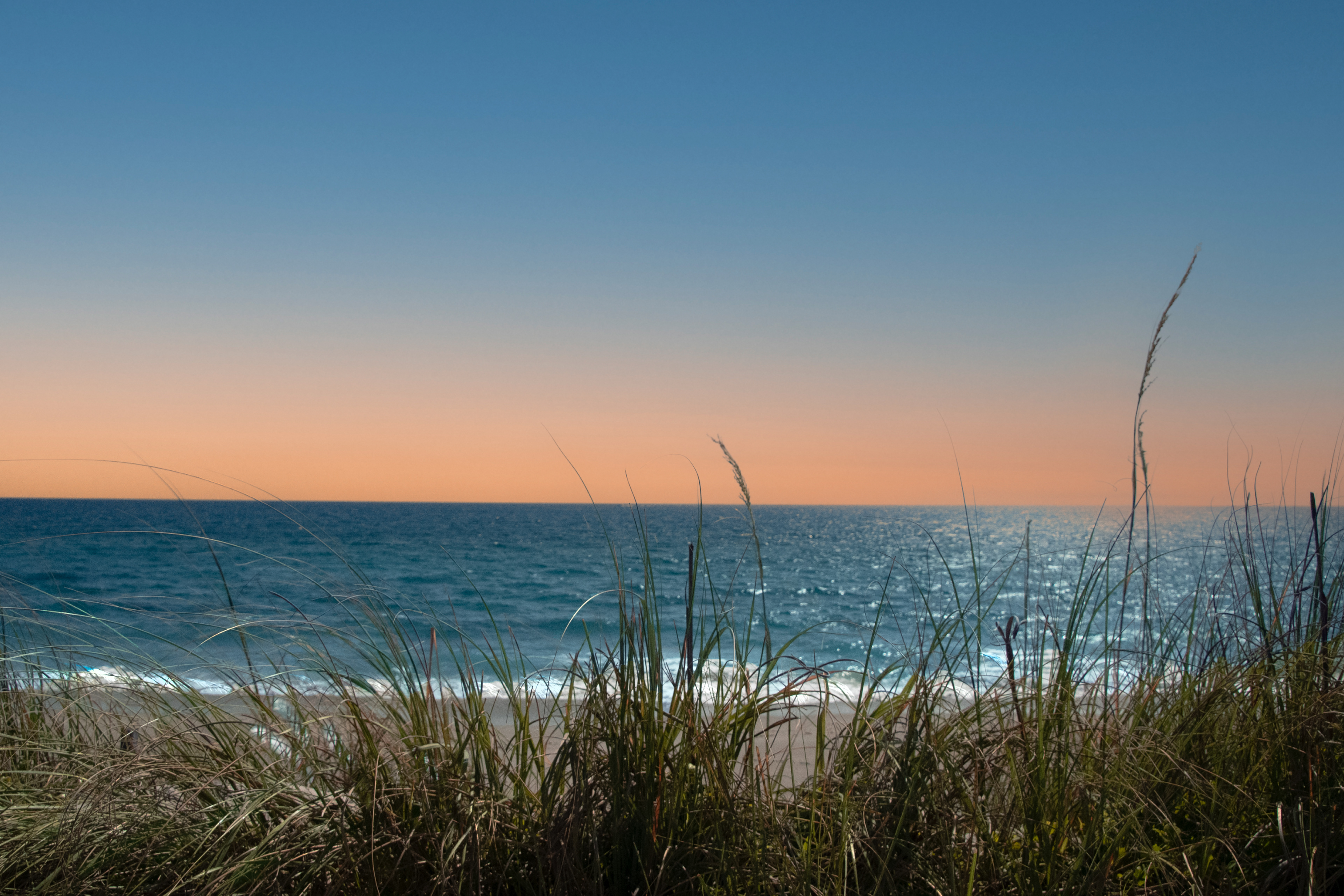 Coral Cove, FL