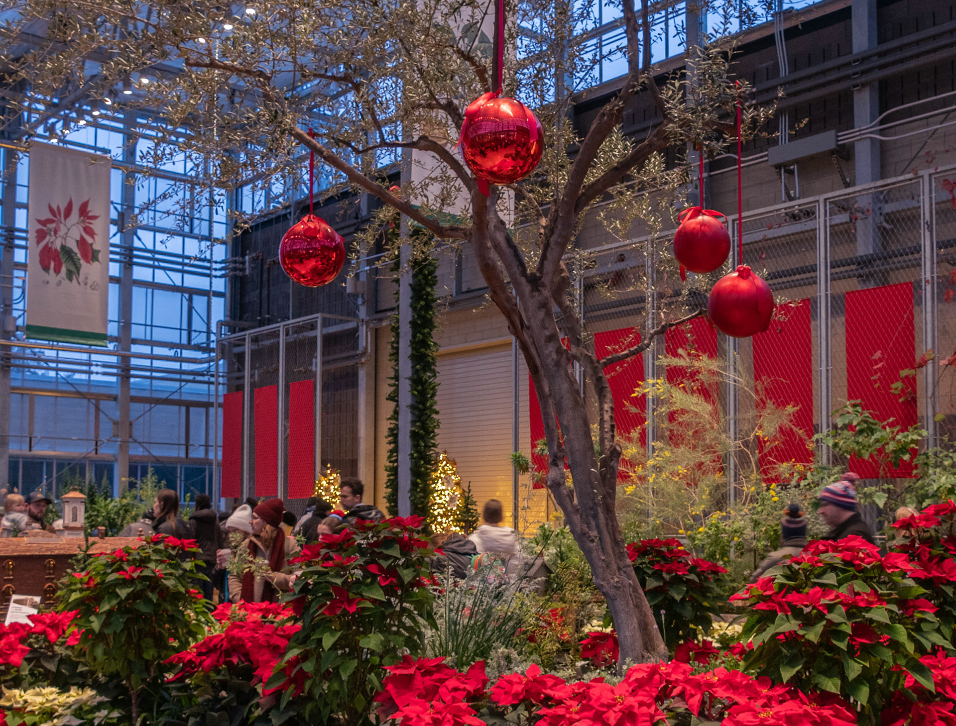 Missouri Botanical Garden Christmas Display - St. Louis, MO