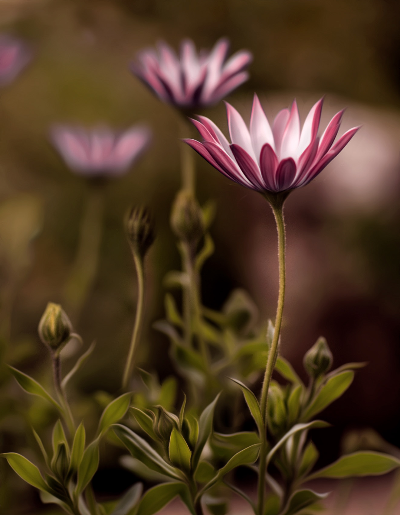 Glow Flowers